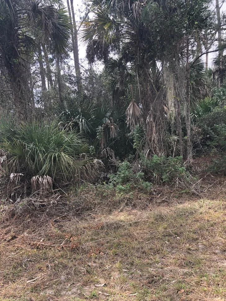Waldrun Ave Paradise Parcels Waldrun Ave Paradise Parcels