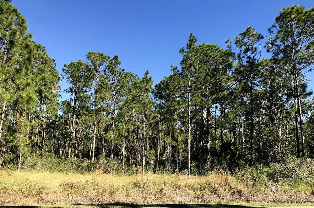 1208 Woodbury Ave Sebring Fl Paradise Parcels