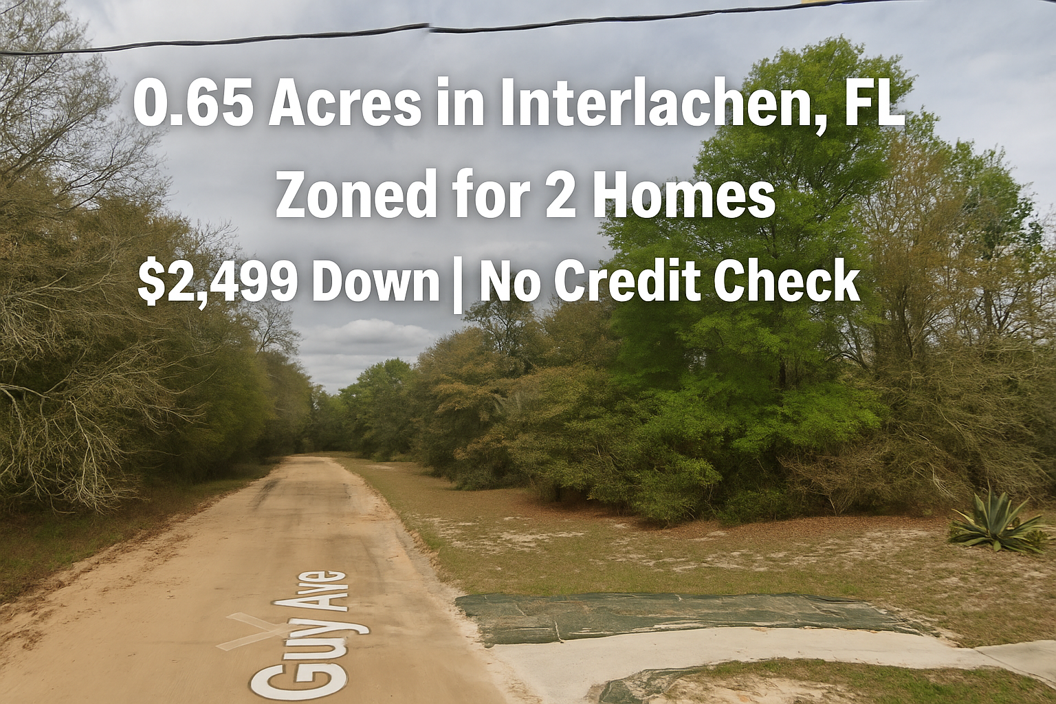 🏡 Why We Bought This Big, Weird Lot in Interlachen (and Why You Might Want It Too)
