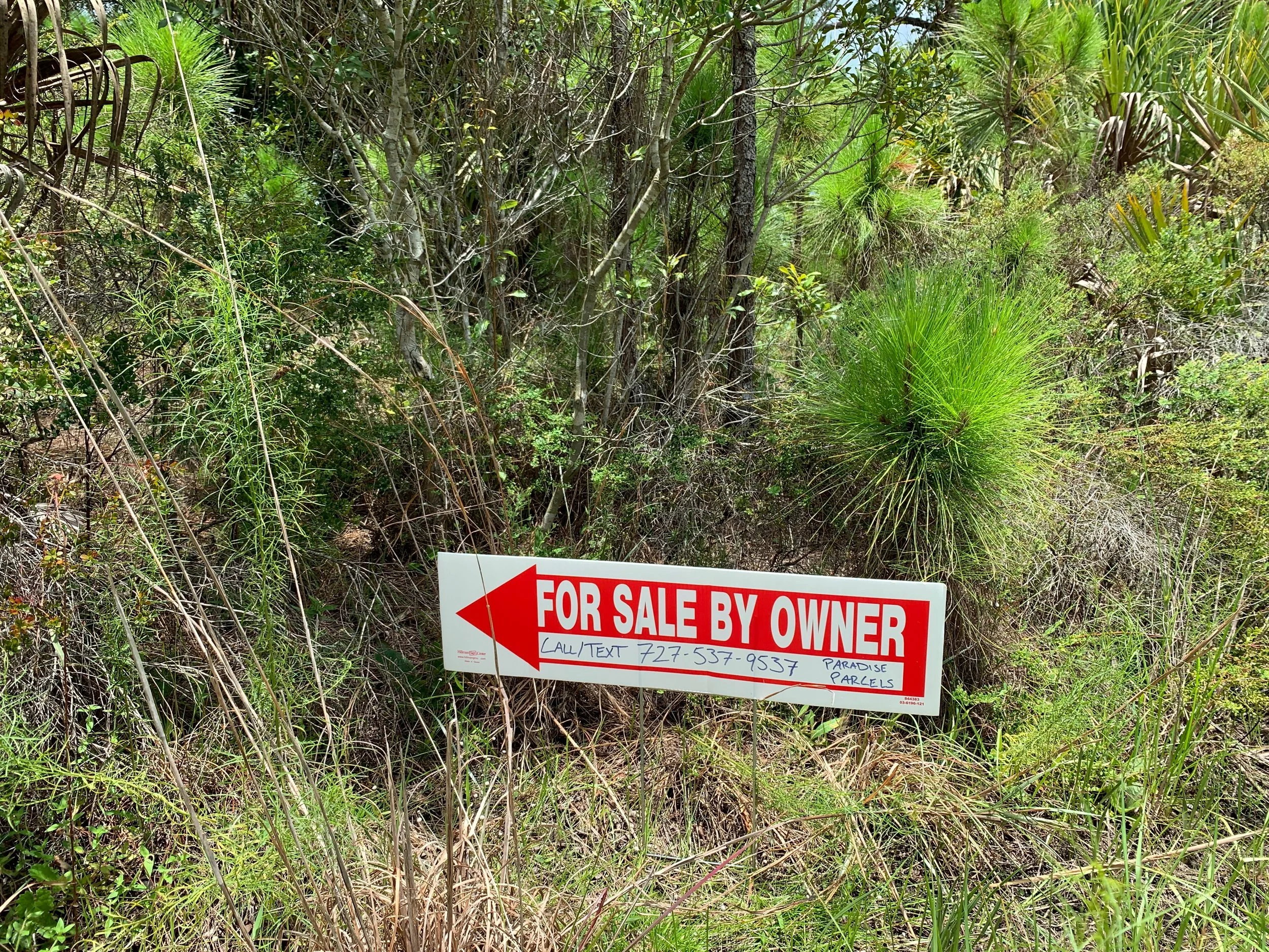 Why Florida Land Still Makes Sense in a Crazy Economy (And How to Own It for $499 Down)