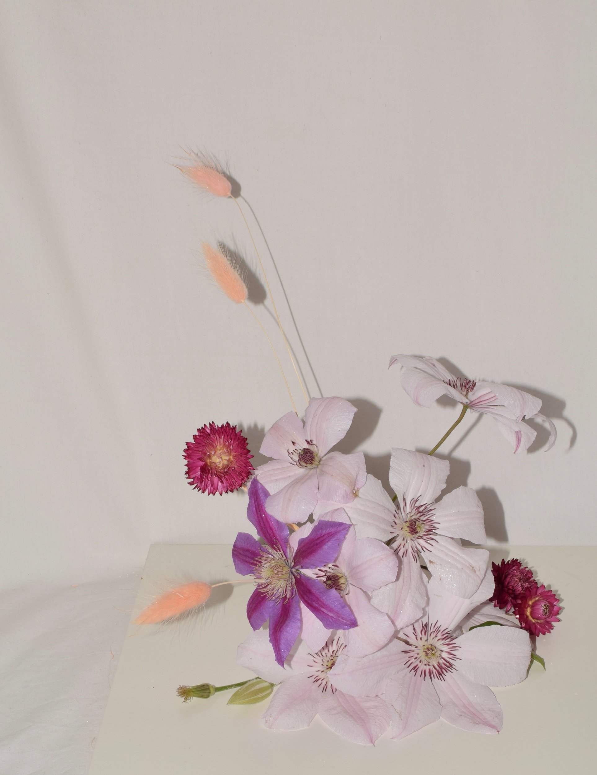 DSC_0108.jpeg
