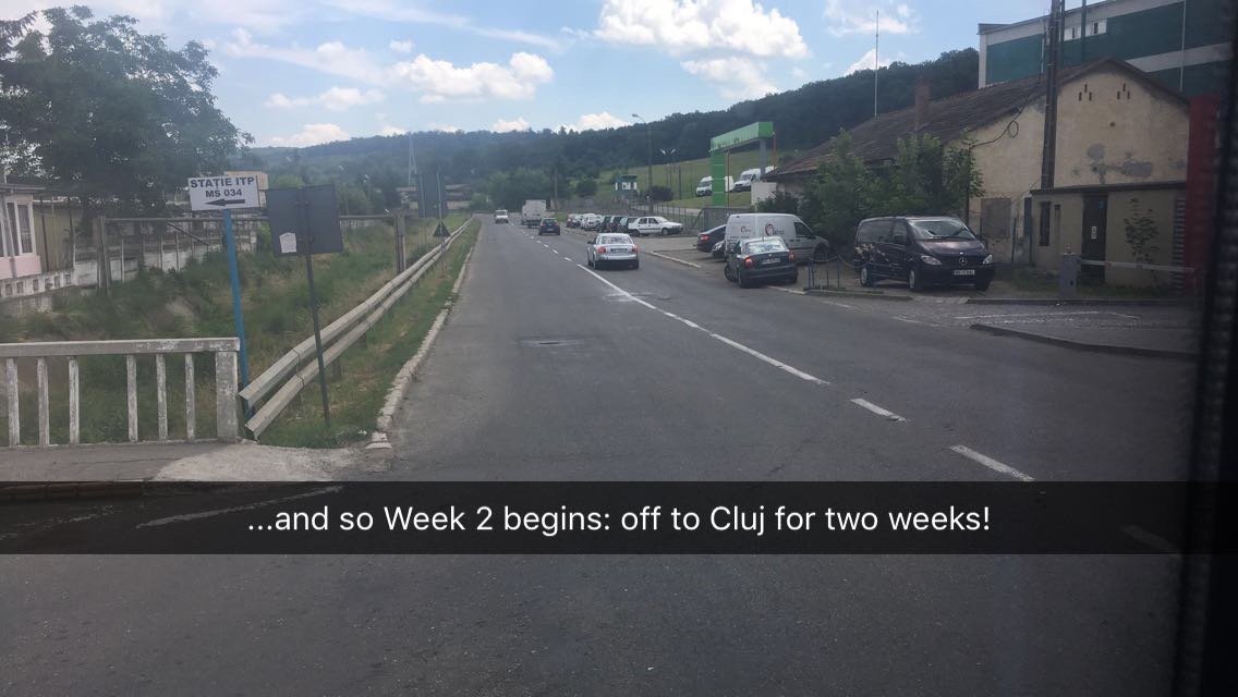 Settling in (Week 2)