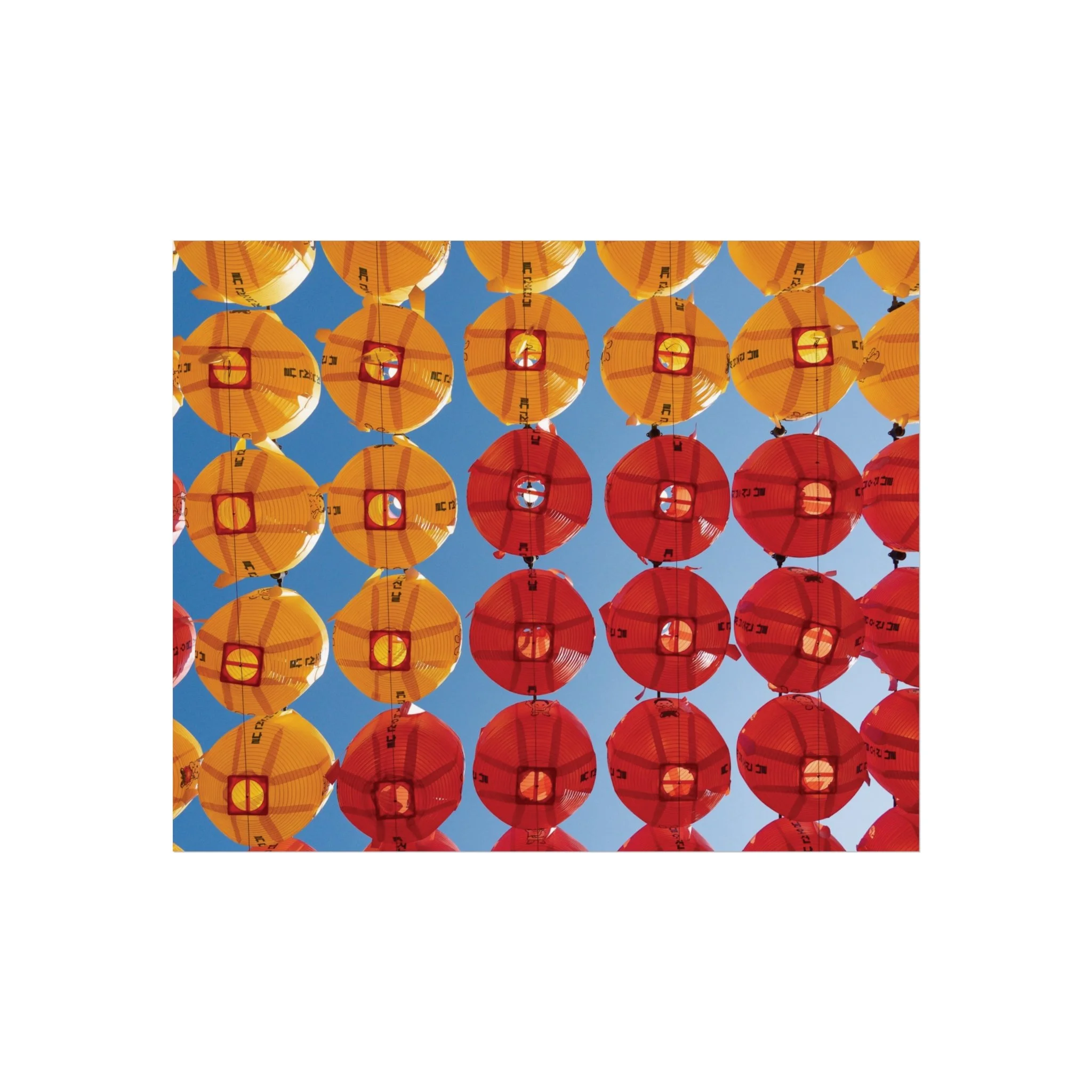 422adf3be3231f01a696038e9c97dca8