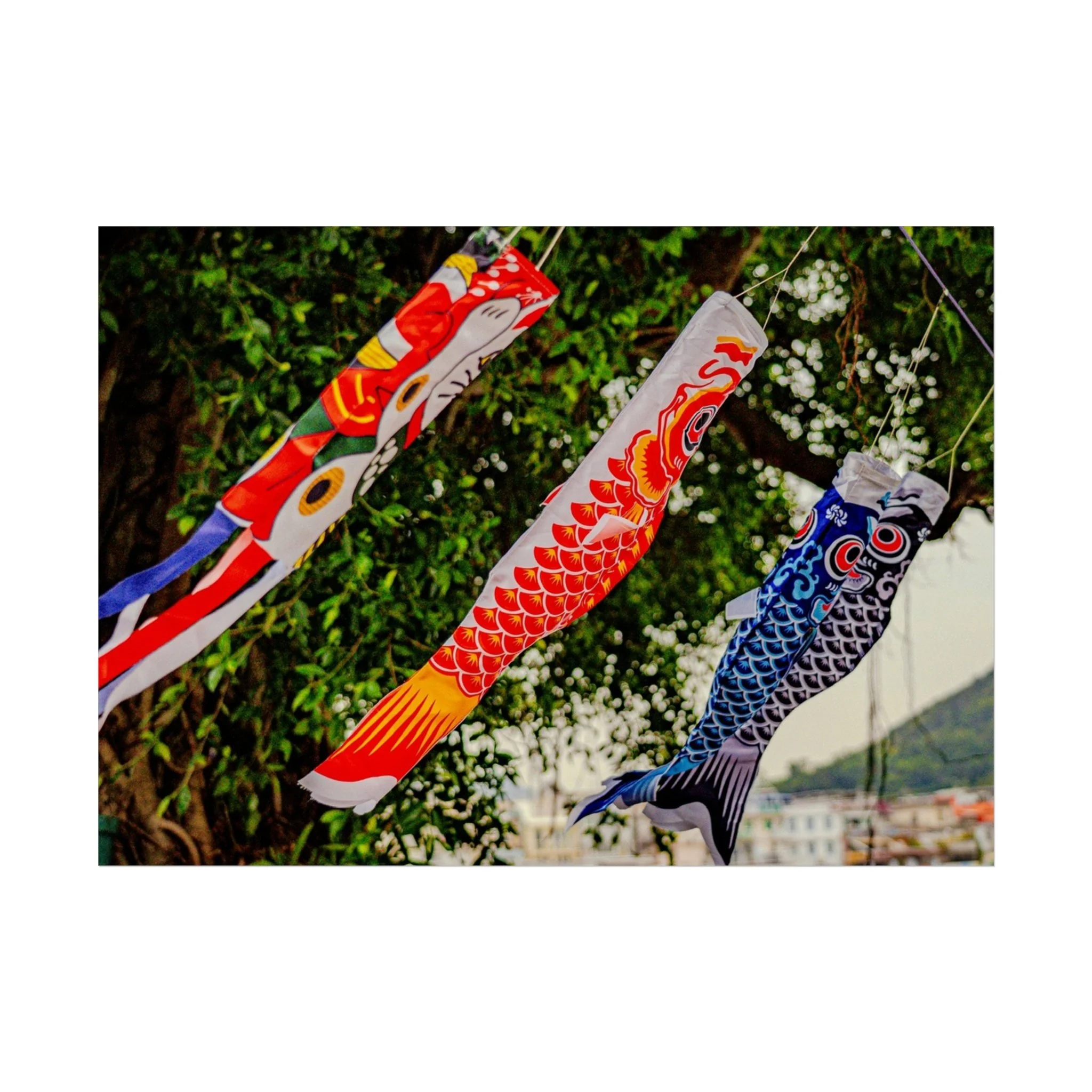 54026ecbbba80de538aa4728aaed9242