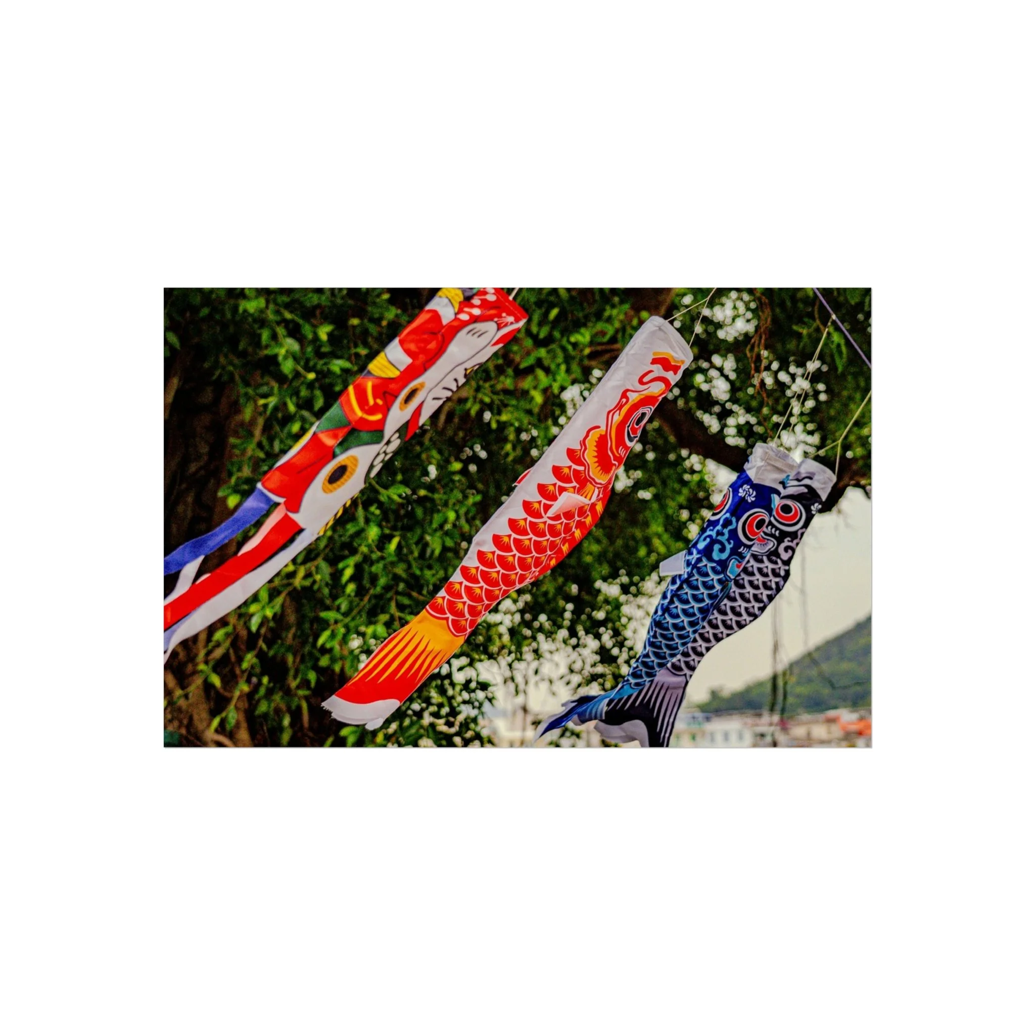 9bc44bf7345cddadf41bb8f32078a117