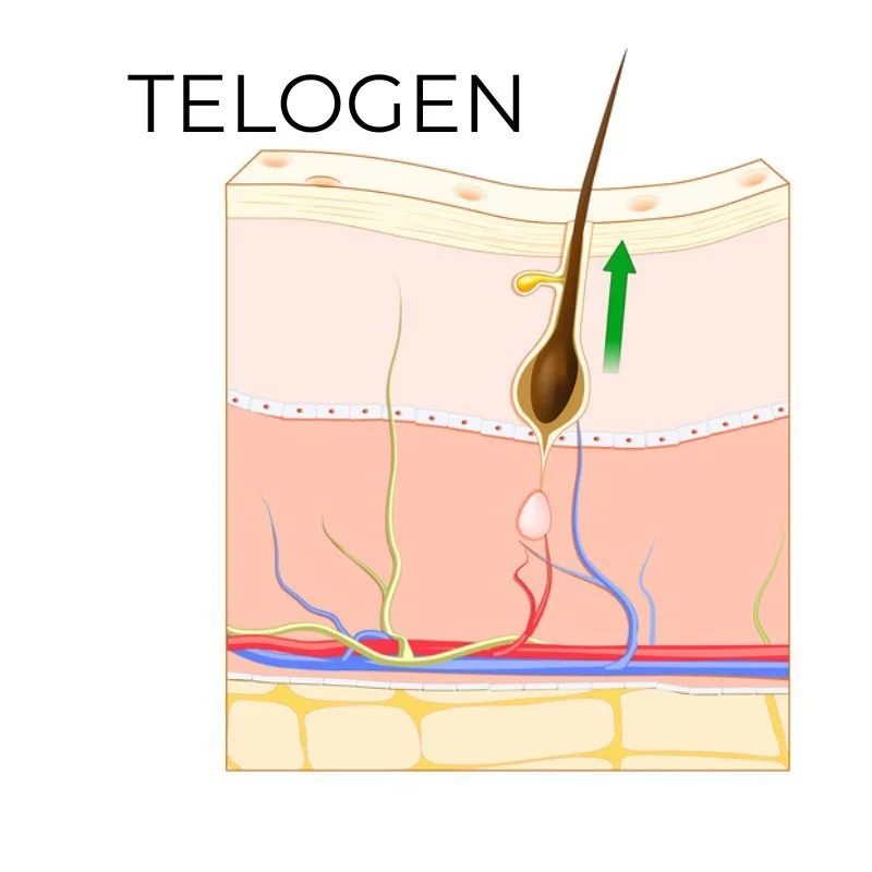 What is Electrolysis? / Hair Removal / Charlotte NC — Carolinas