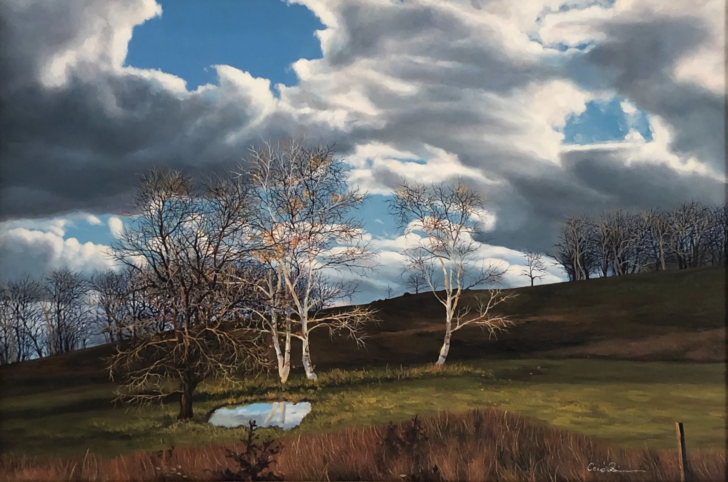 CaiXi-Earth & Sky #9-28"x40"-oiloncanvas-2001.jpg