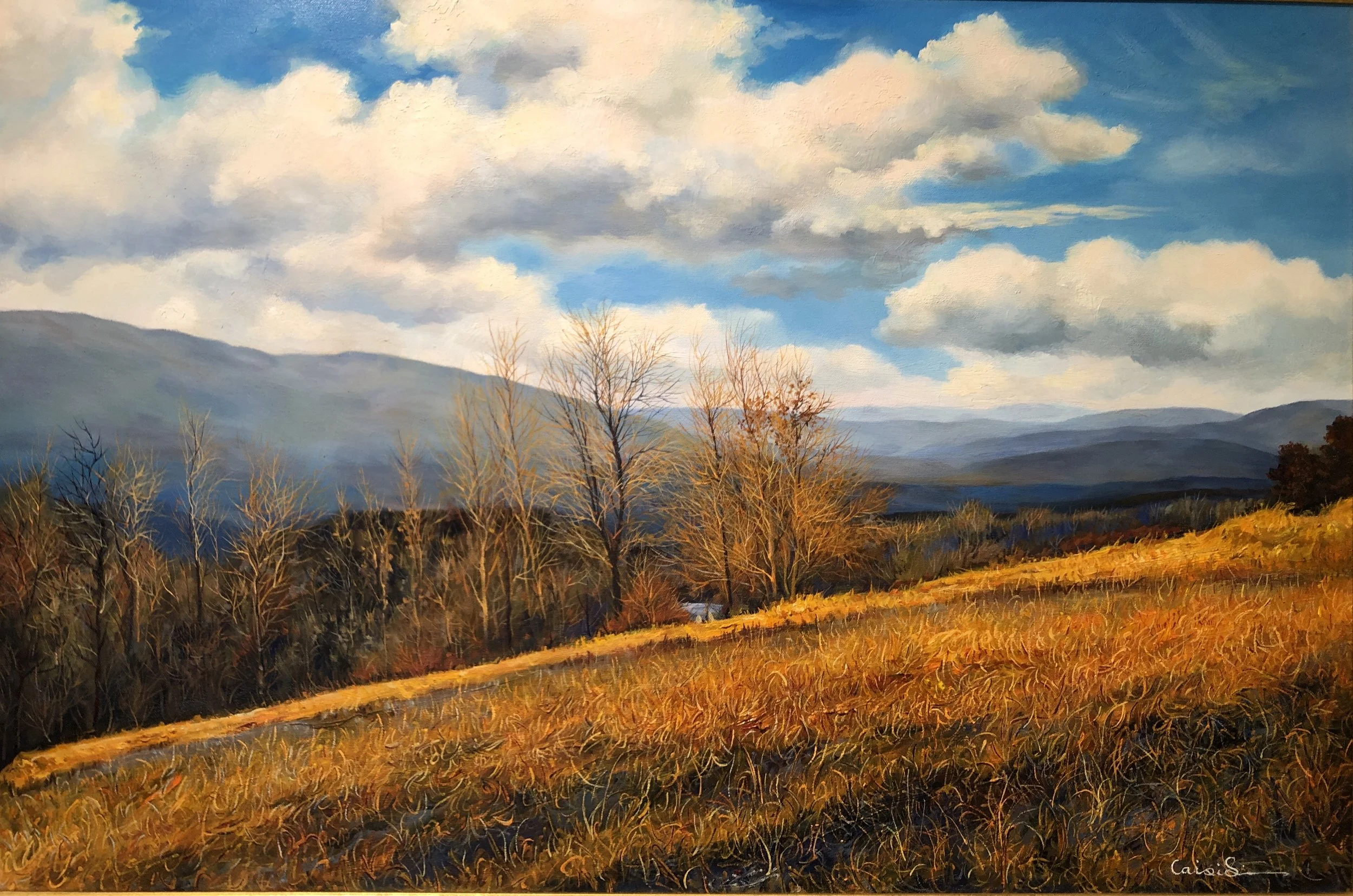 CaiXi_Earth & Sky #25 oil on canvas-2003-28"x40"