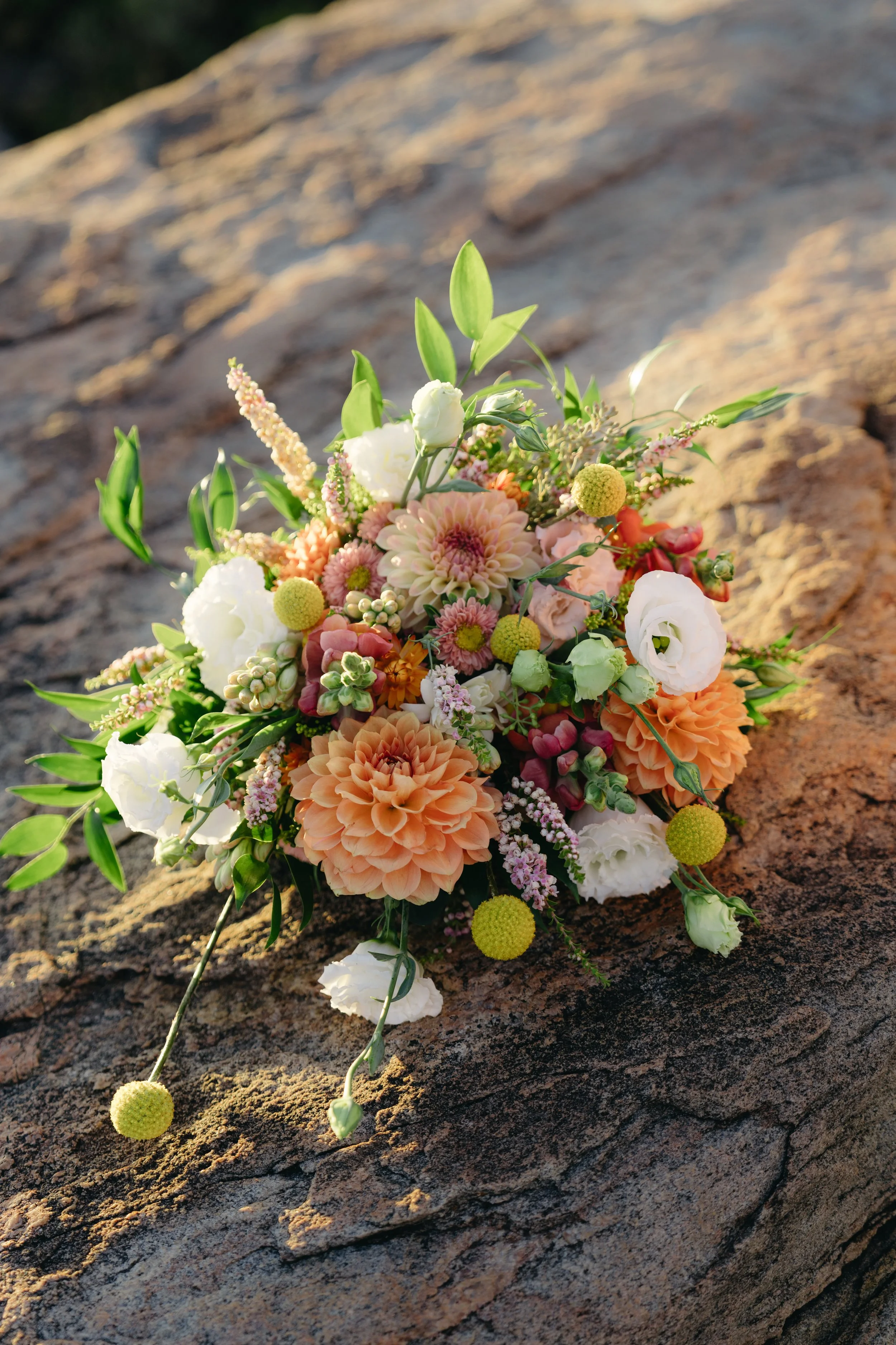 Peter & Denise-454.jpg