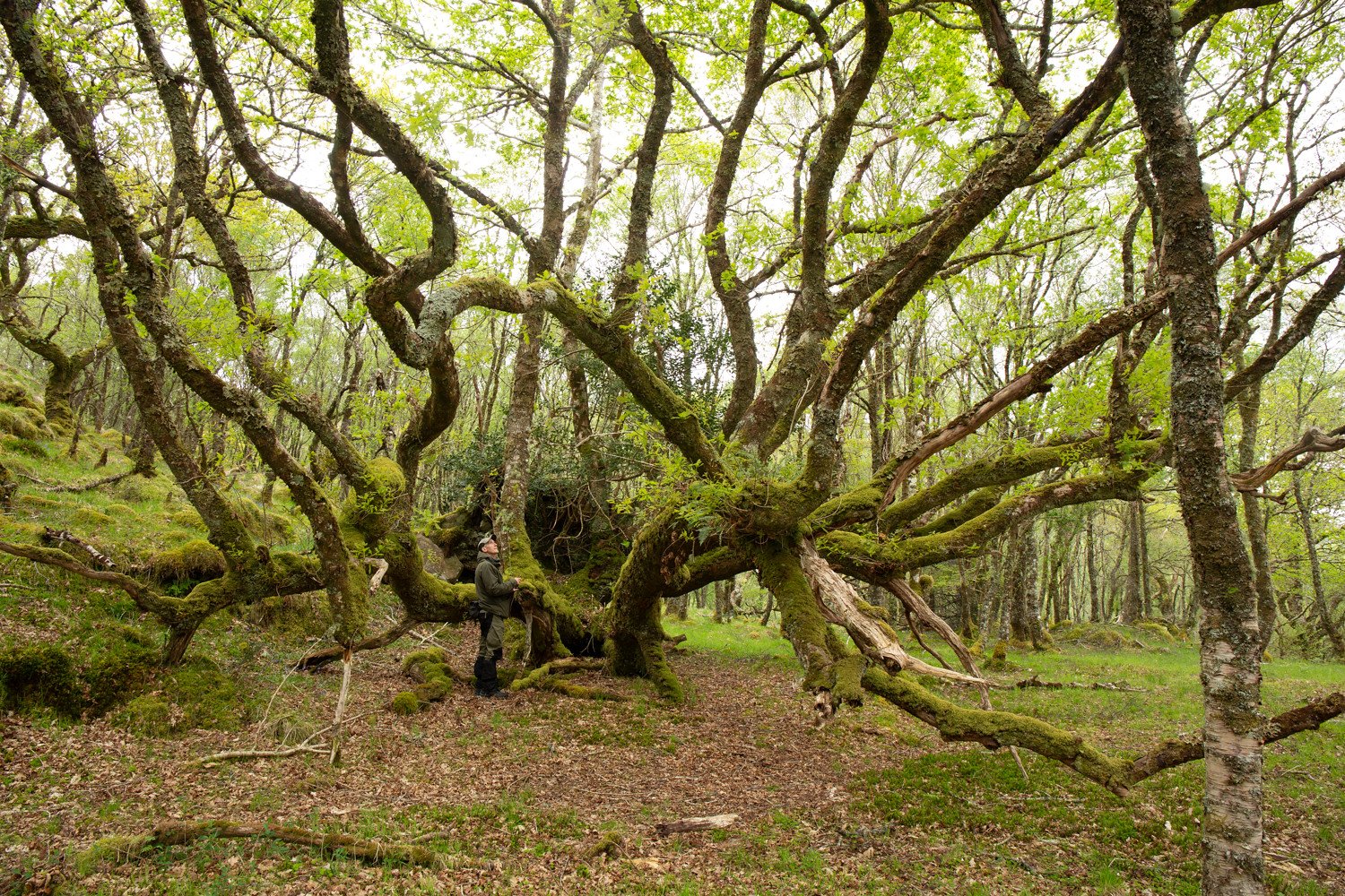 A photographer’s trip to the rainforest part 2
