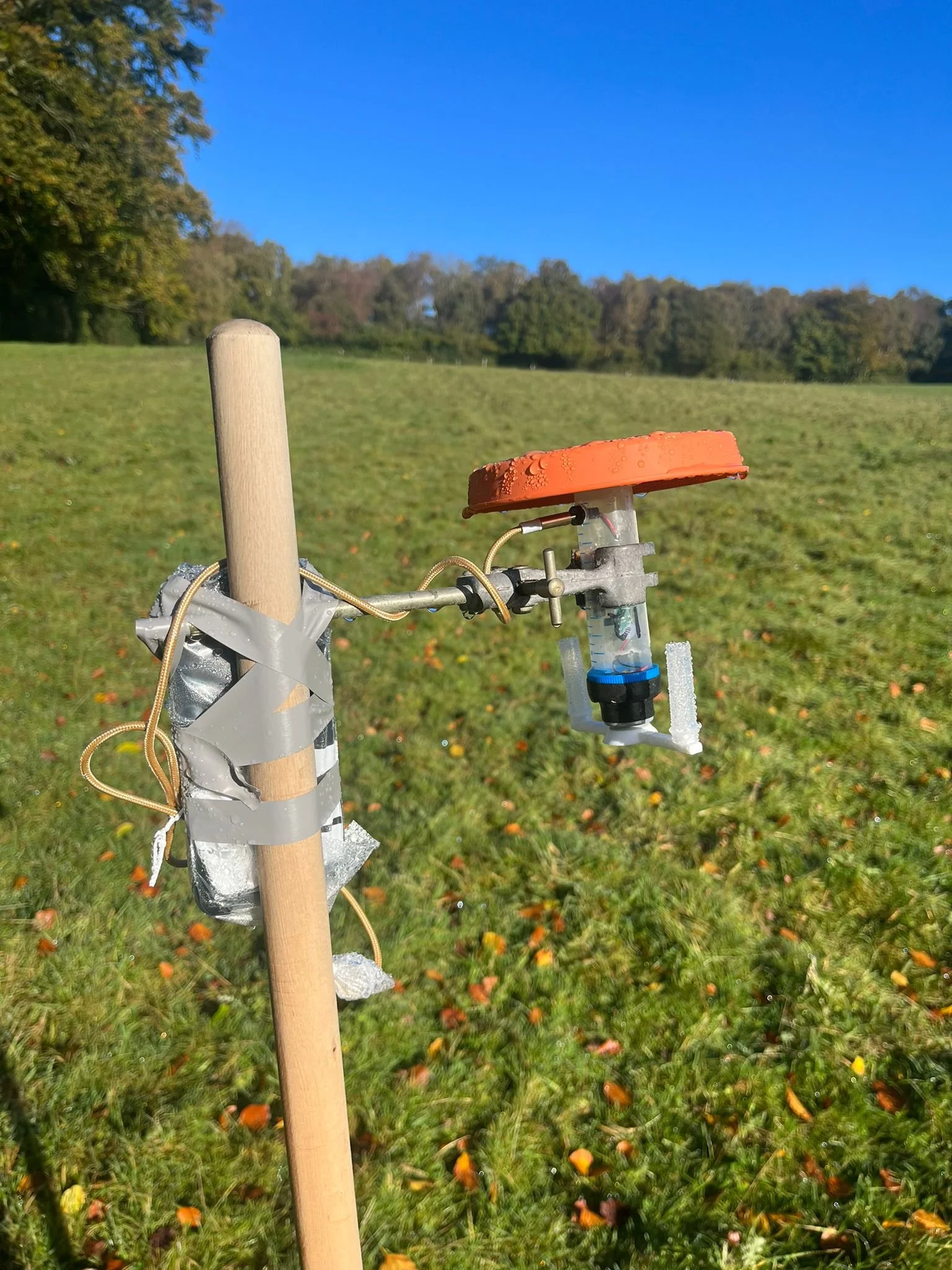 Monitoring lichens and their dispersal in Scottish rainforests using airborne environmental DNA