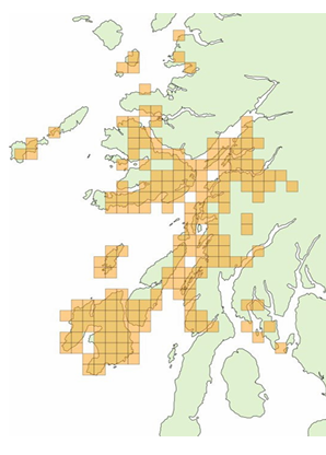 Marsh fritillary distribution map. Butterfly Conservation