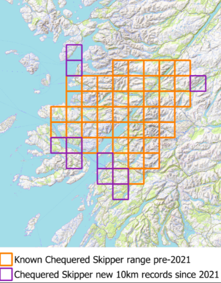 Chequered skipper distribution map. Butterfly Conservation