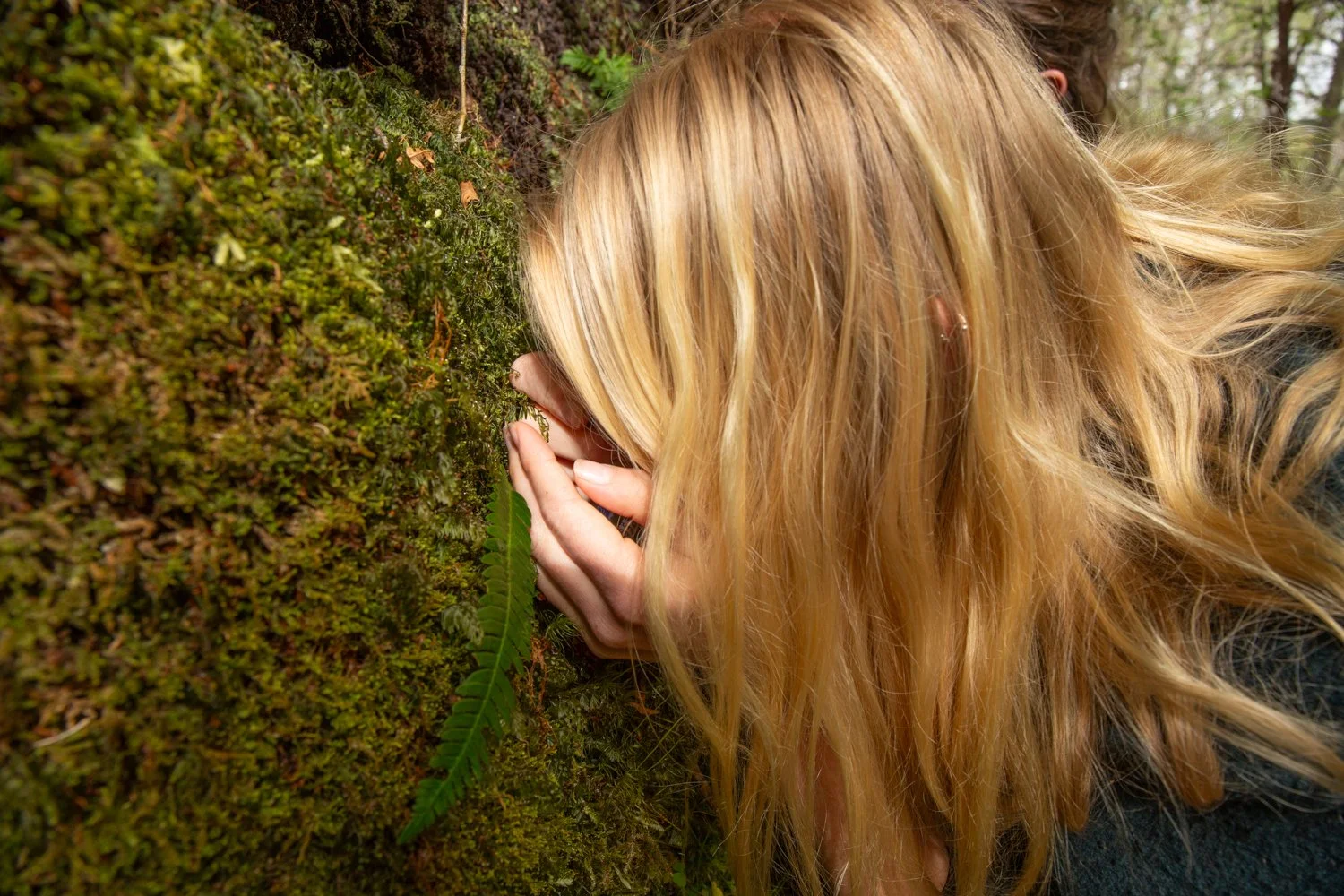 Opportunities for students