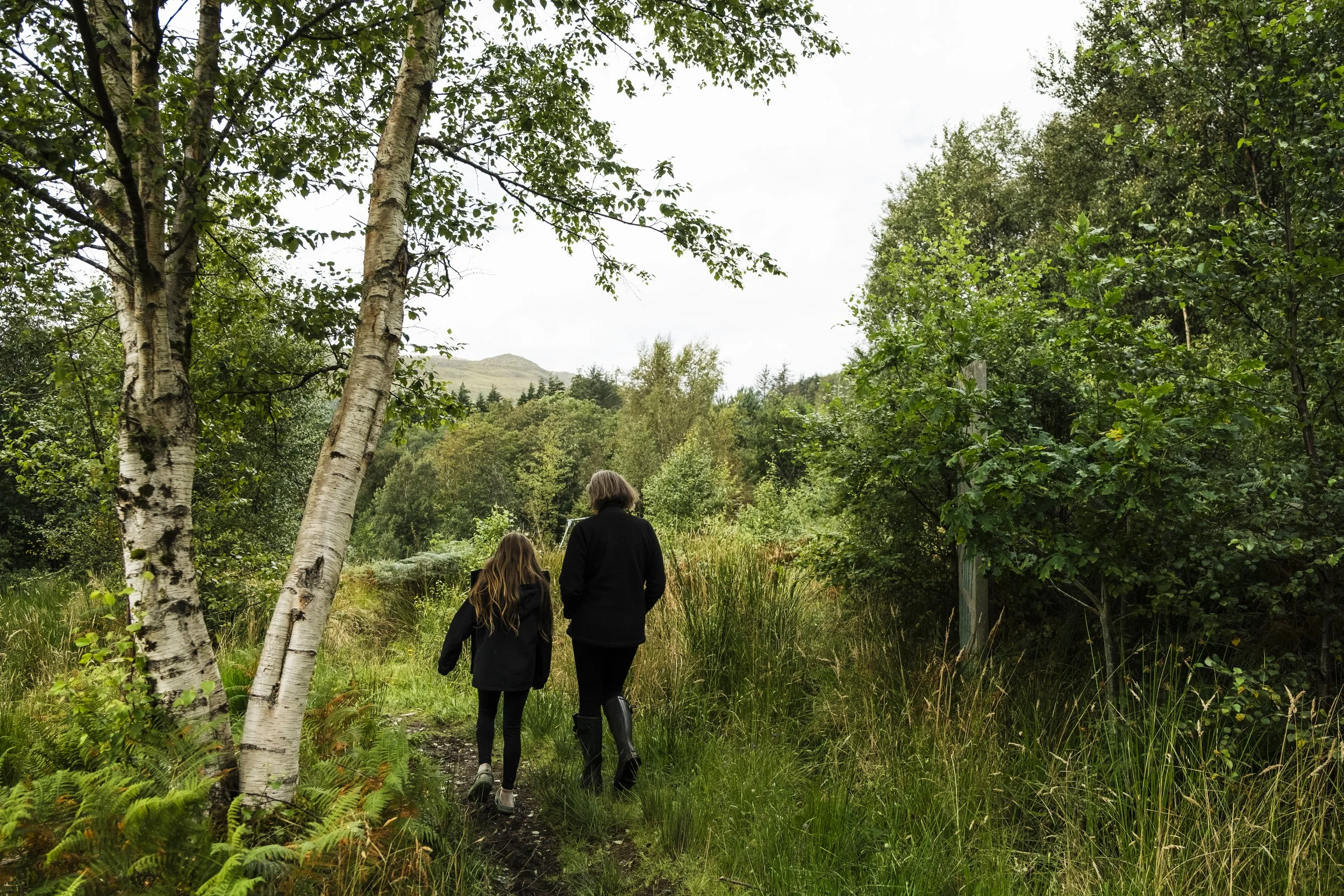 An adult and child walk through woodland with their backs to the camera. A birch tree with white bark is to their left.
