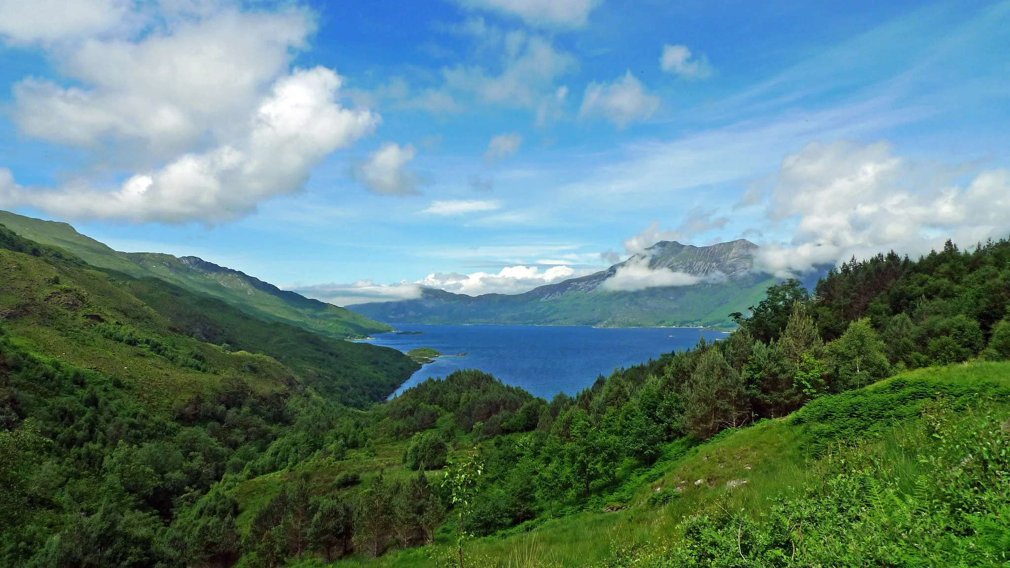A beautiful scene of green hills and trees with a loch and blue sky beyond