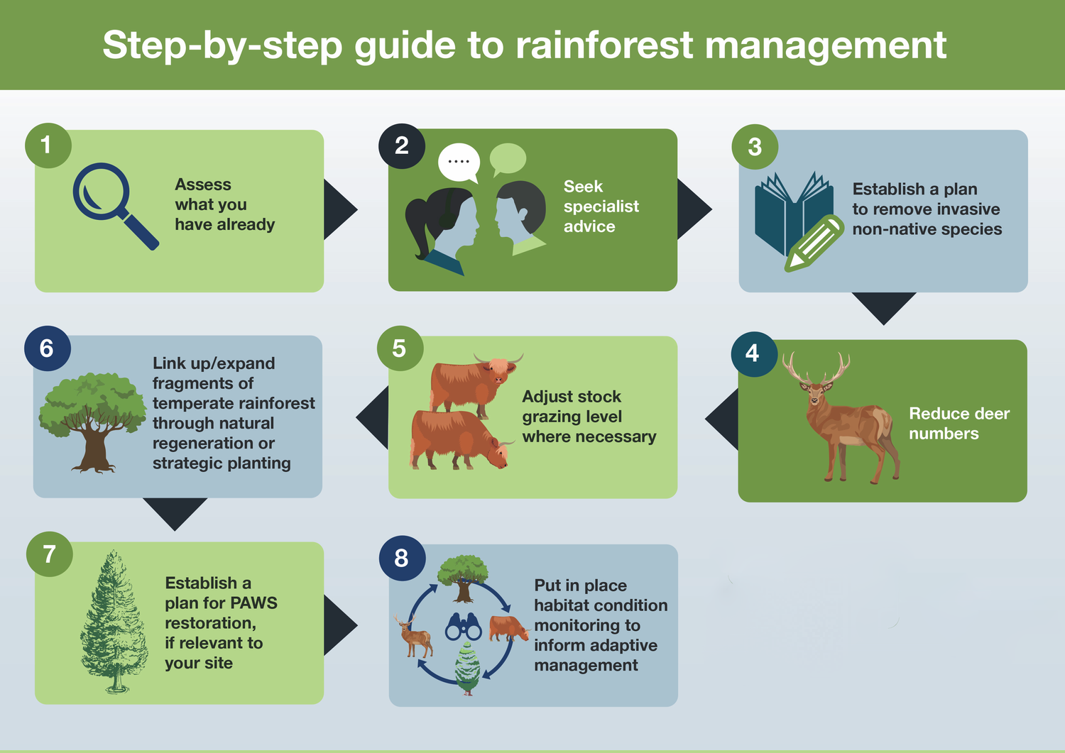 Best practice — Alliance for Scotland’s Rainforest