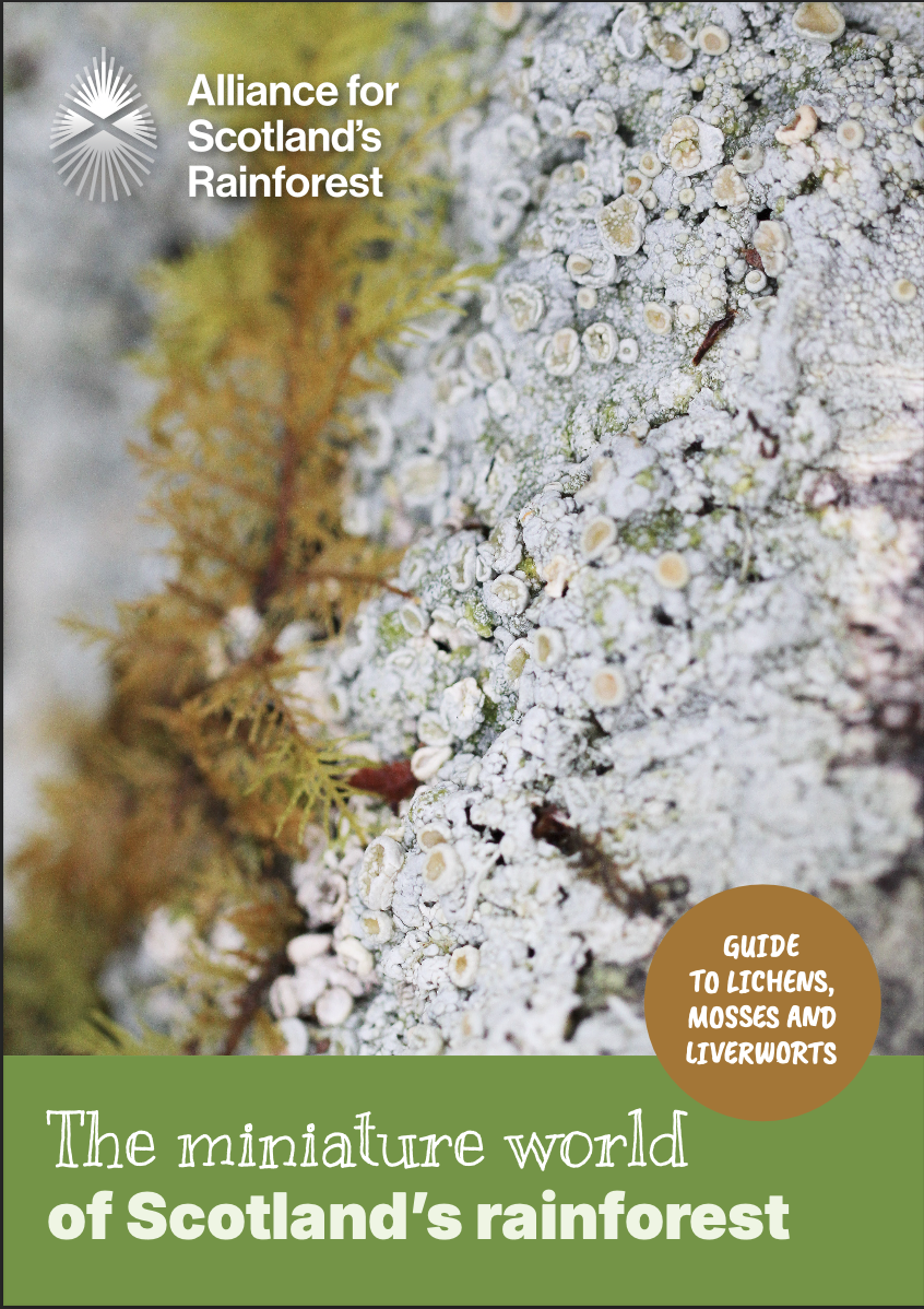 A leaflet cover showing a grey lichen with yellow apothecia. The text says the miniature world of Scotland's rainforest