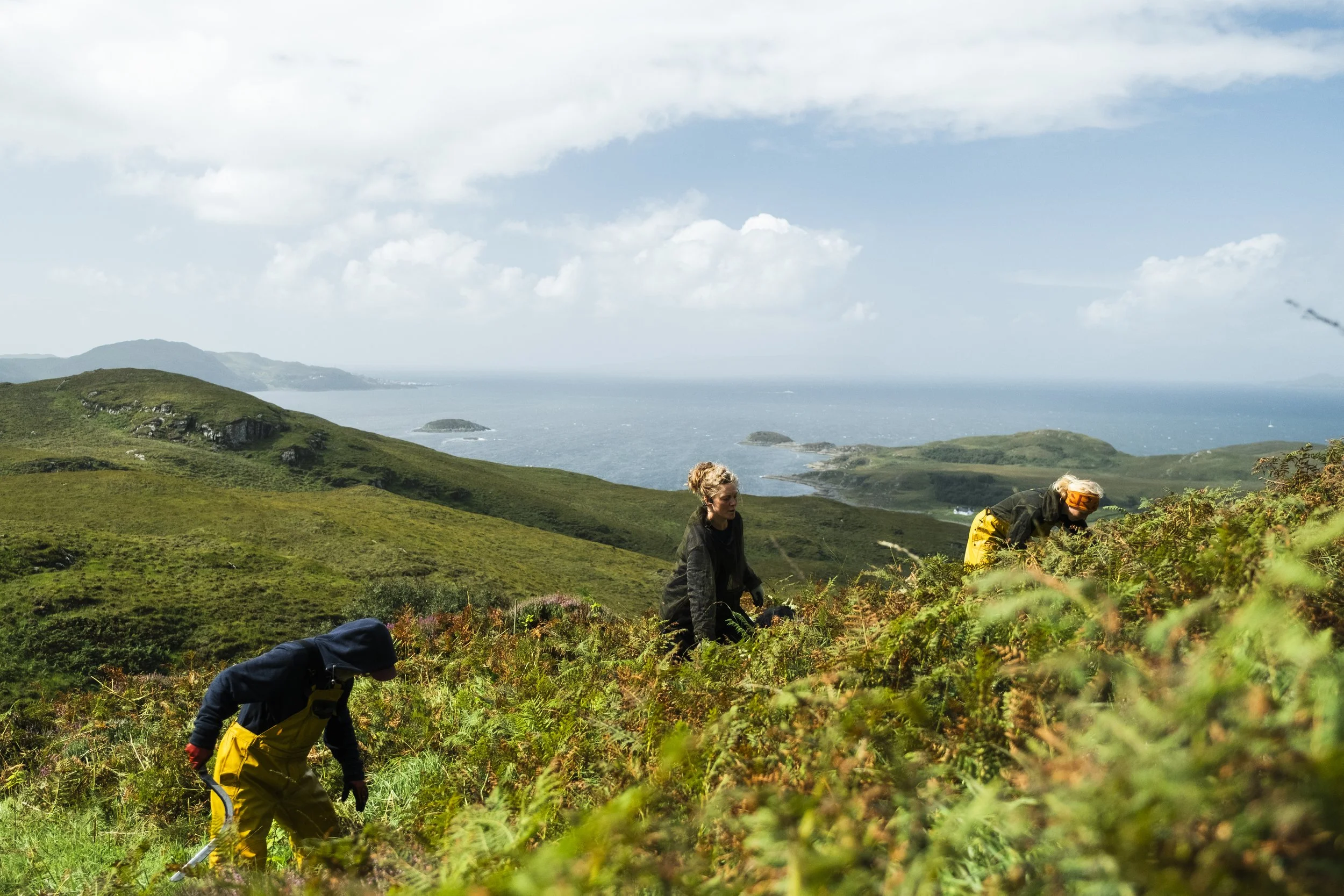 What the Knoydart Credit Project means for Scotland’s rainforest