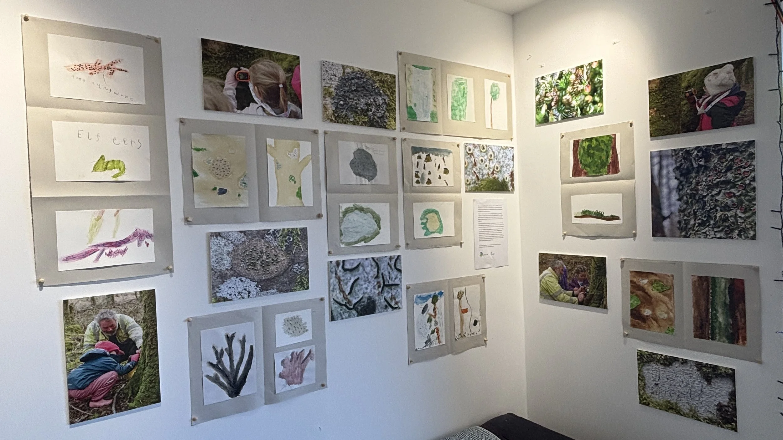 White walls displaying a large range of artwork of lichens as well as photographs from events