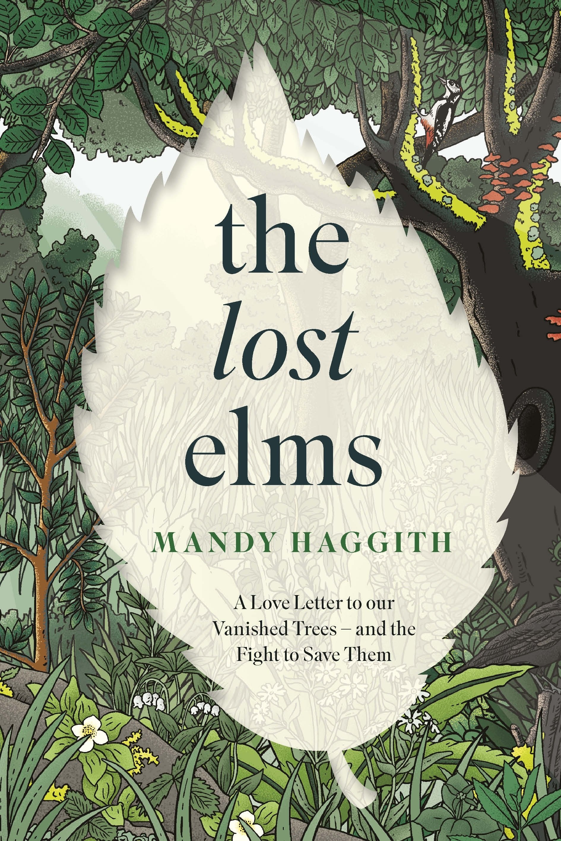 Lost elms in the lost rainforest