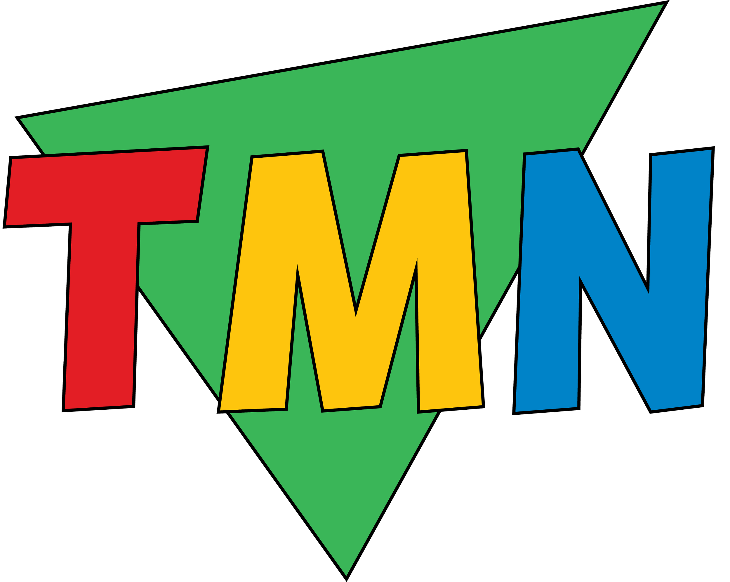 Colorful TMN logo with letters T, M, and N in red, yellow, and blue on a green triangle.