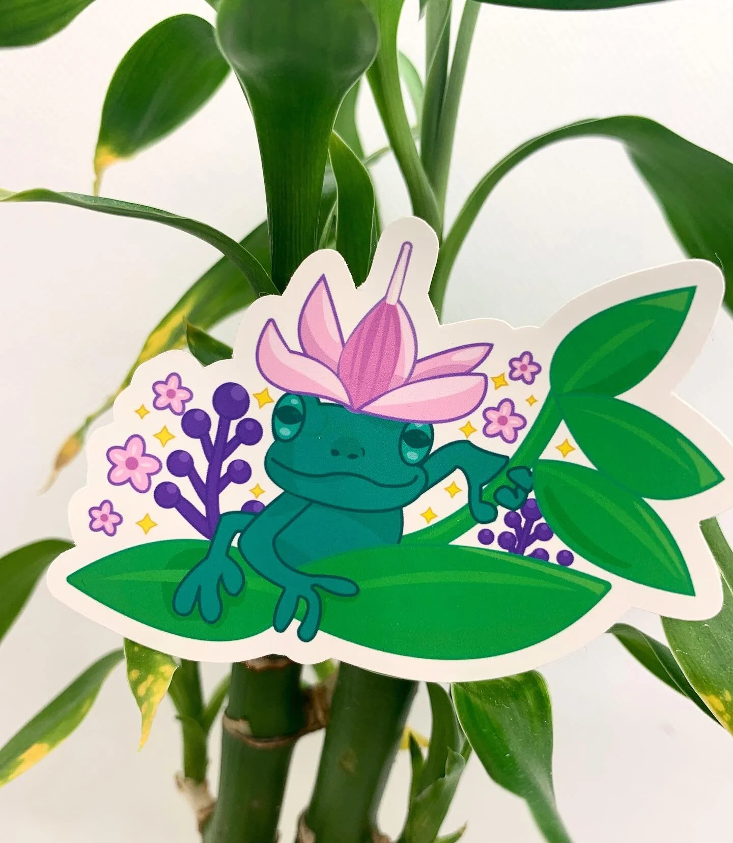 Little frog sticker design ✨ 
I&rsquo;ve been taking a short break from my shop while I was recovering from COVID but it&rsquo;s back up and running as of this week! 

#stickers #stickershop #stickerart #frog #frogart #etsyshop #etsysellersofinstagra