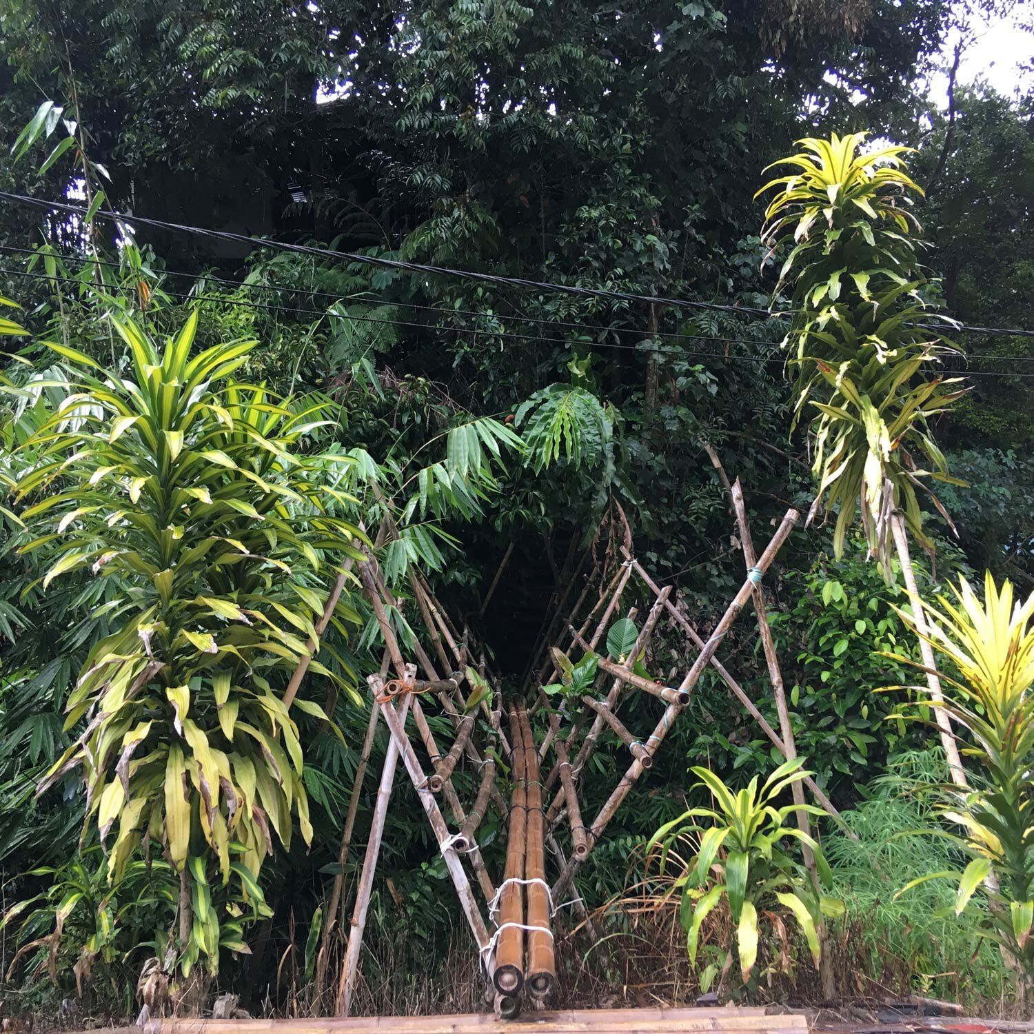 BorneoBengkal-10.jpg