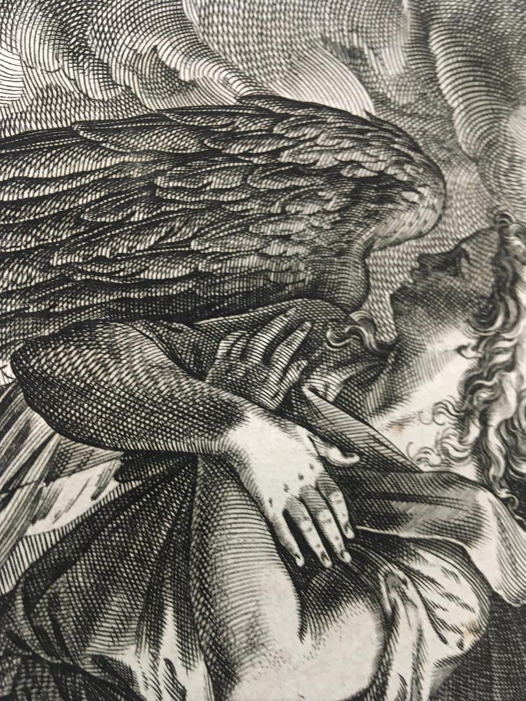 angel.jpg