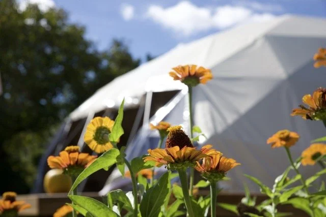 2L7A9256 Medium.jpeg