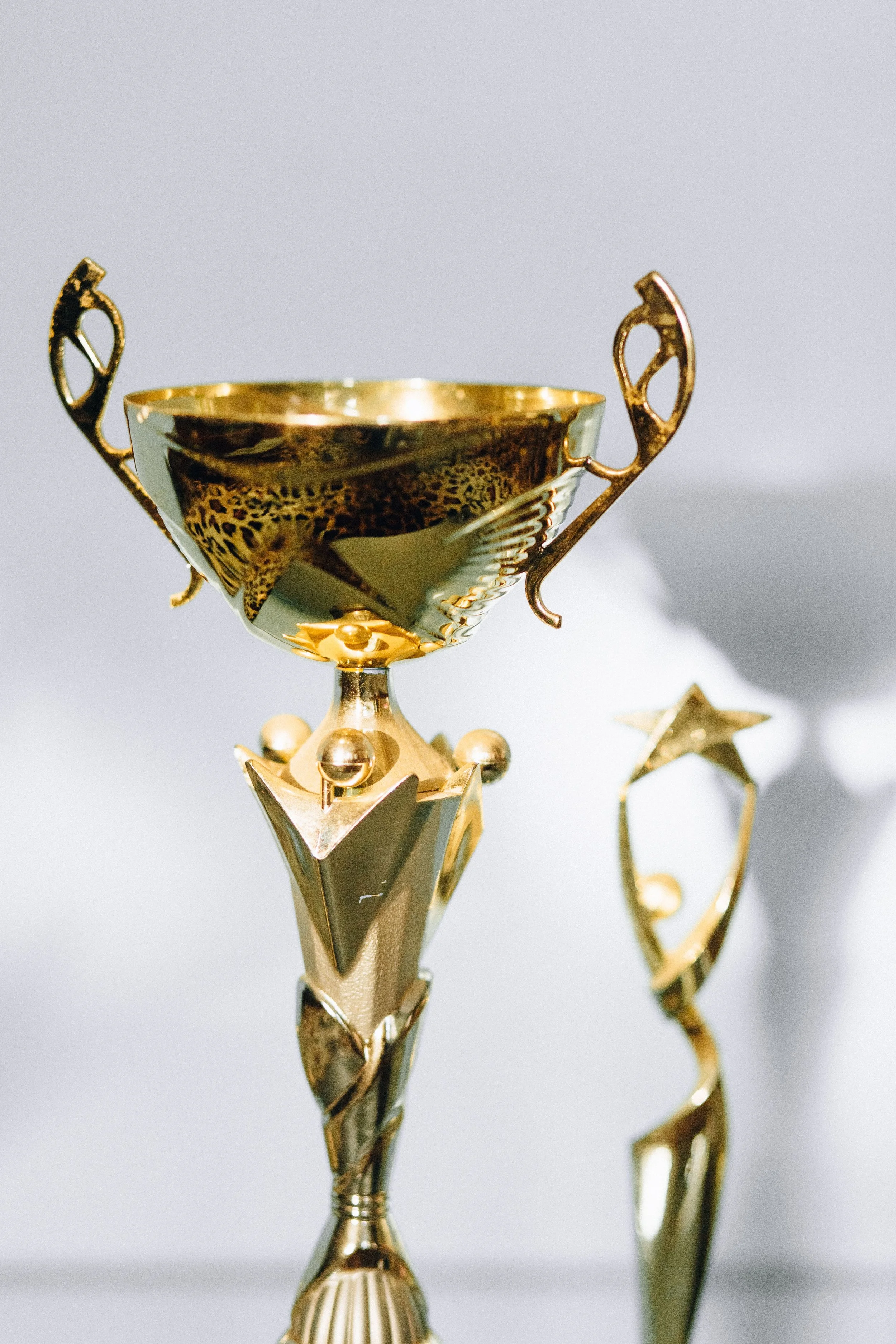 Why White Dog Engraving is the Clear Choice for Your Next Trophy