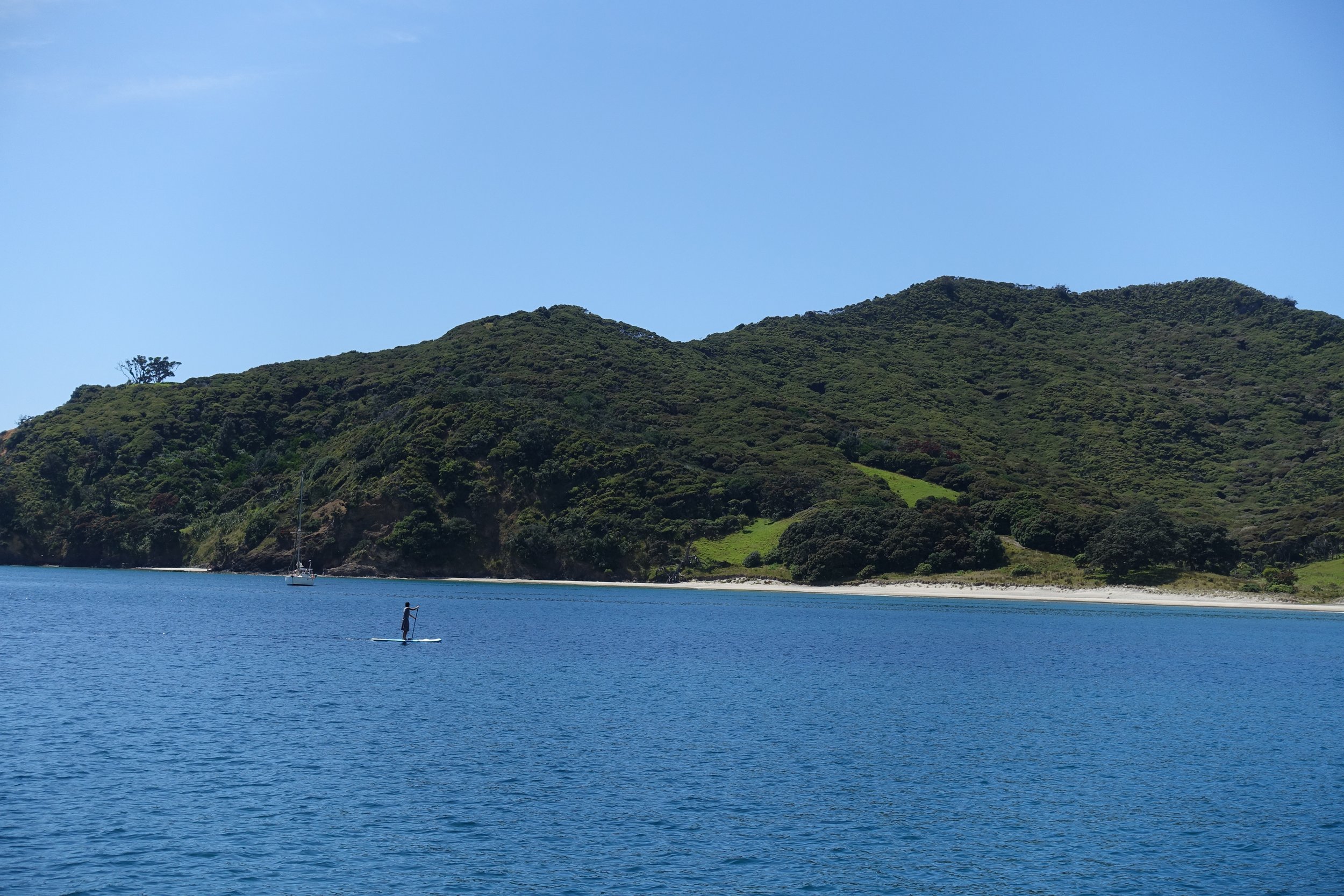 DSC00620.JPG