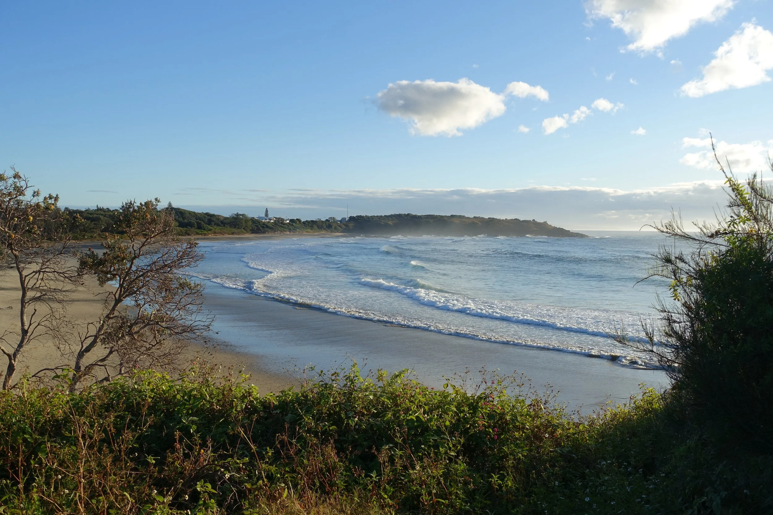 DSC01644.JPG