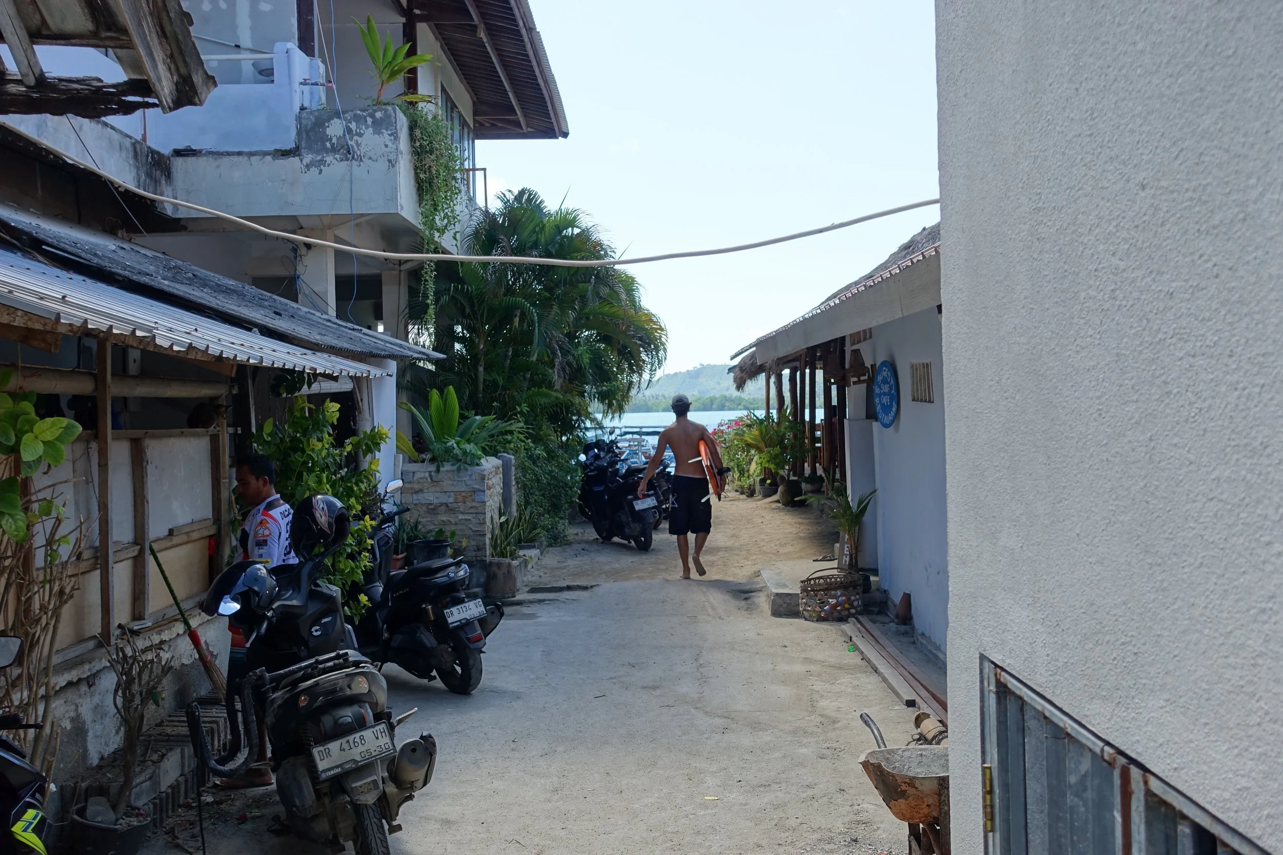 DSC01738Y.JPG