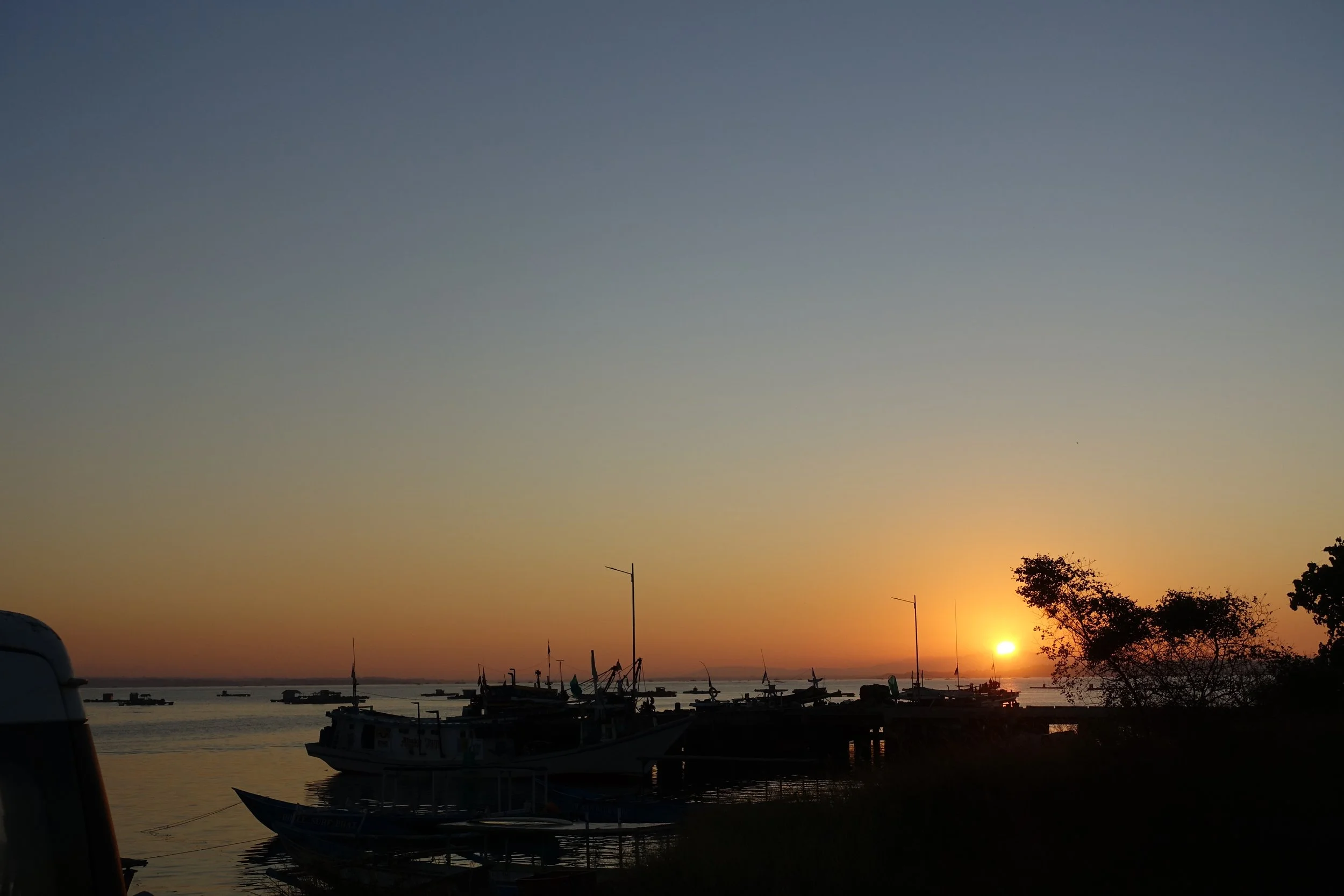 DSC01772Y.JPG