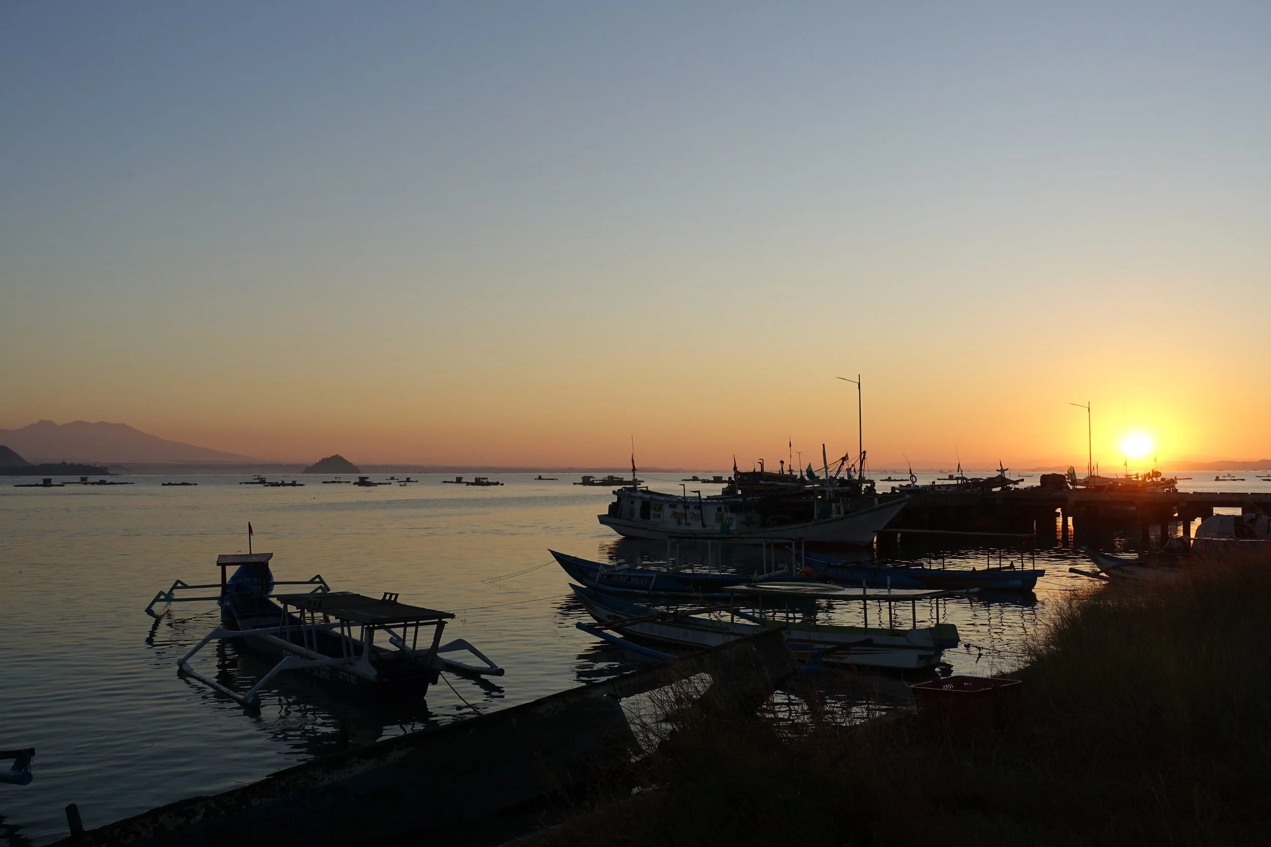 DSC01776Y.JPG