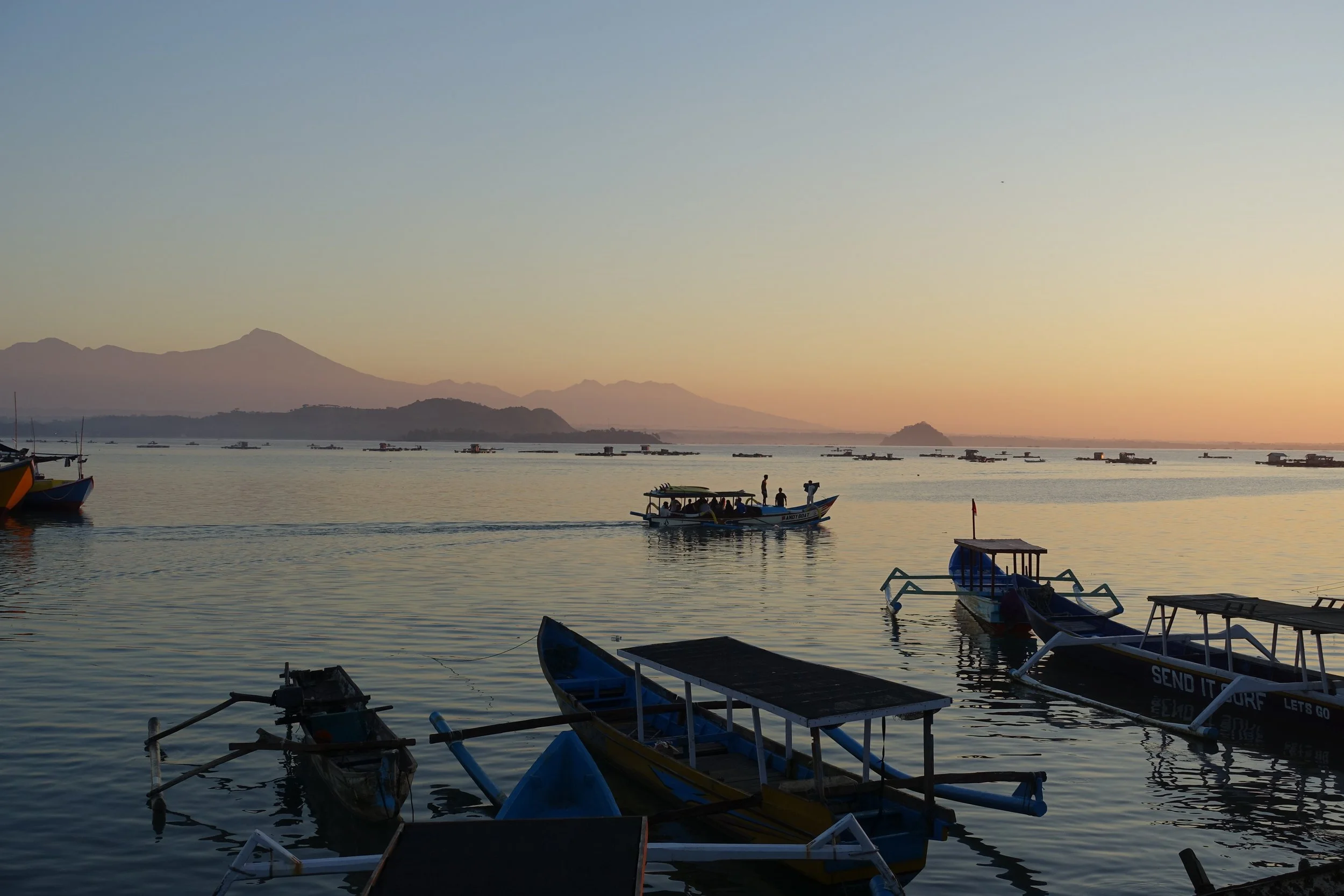 DSC01780Y.JPG