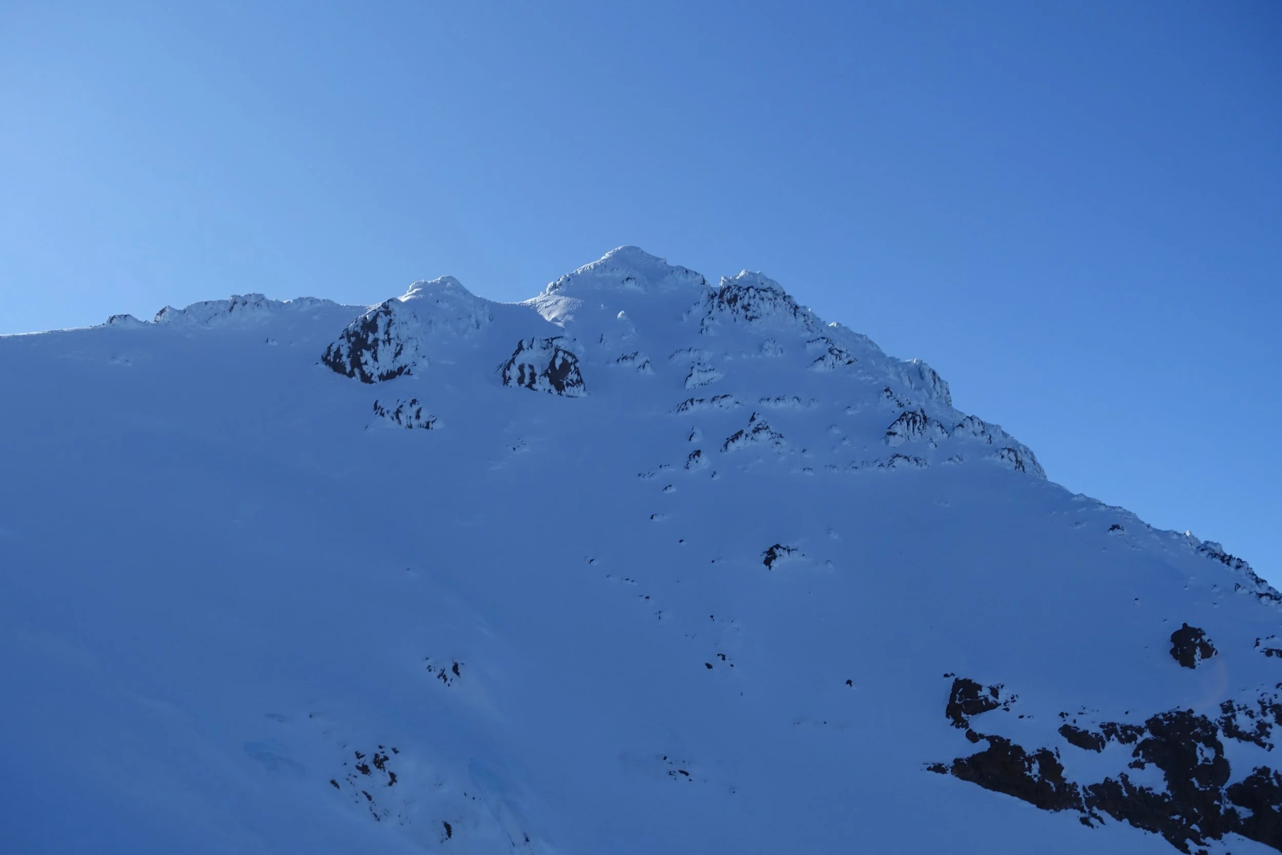 DSC01942.JPG