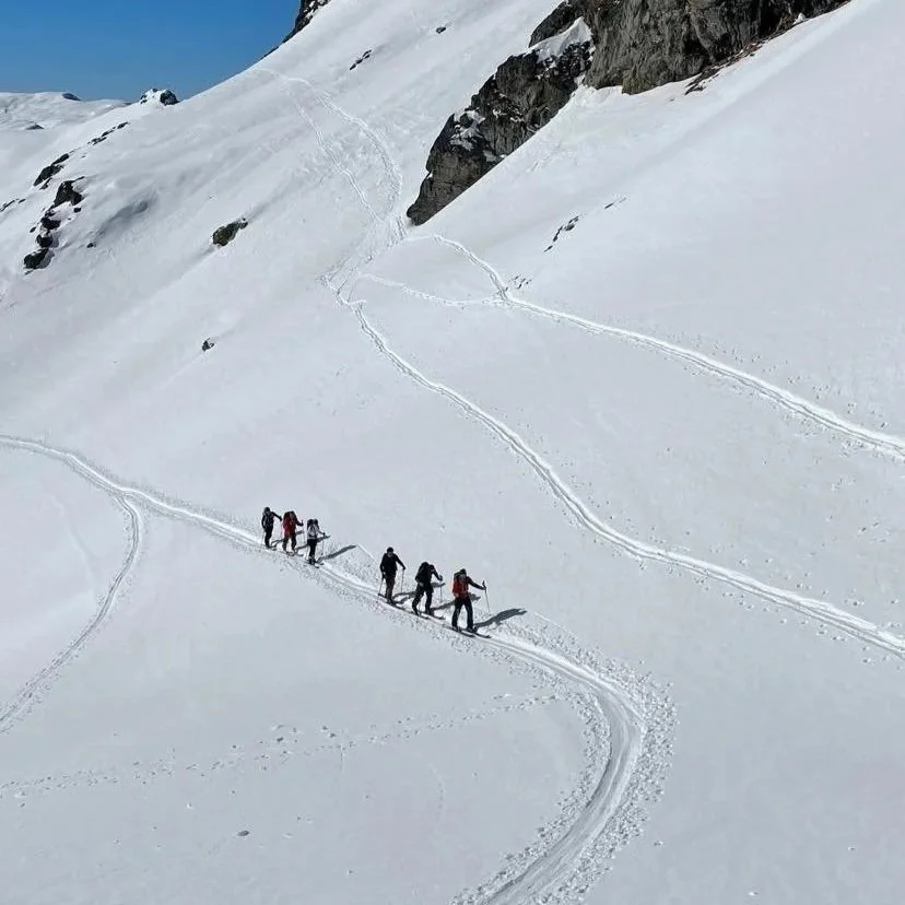 272071293_629606991646988_6811003061647380089_n.jpg