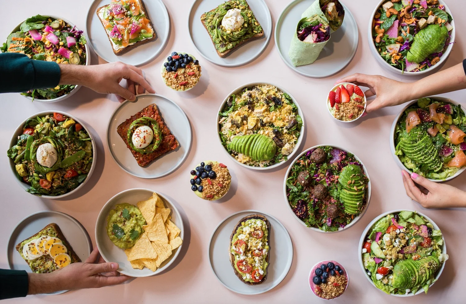 Qr Landing Ic Avocaderia