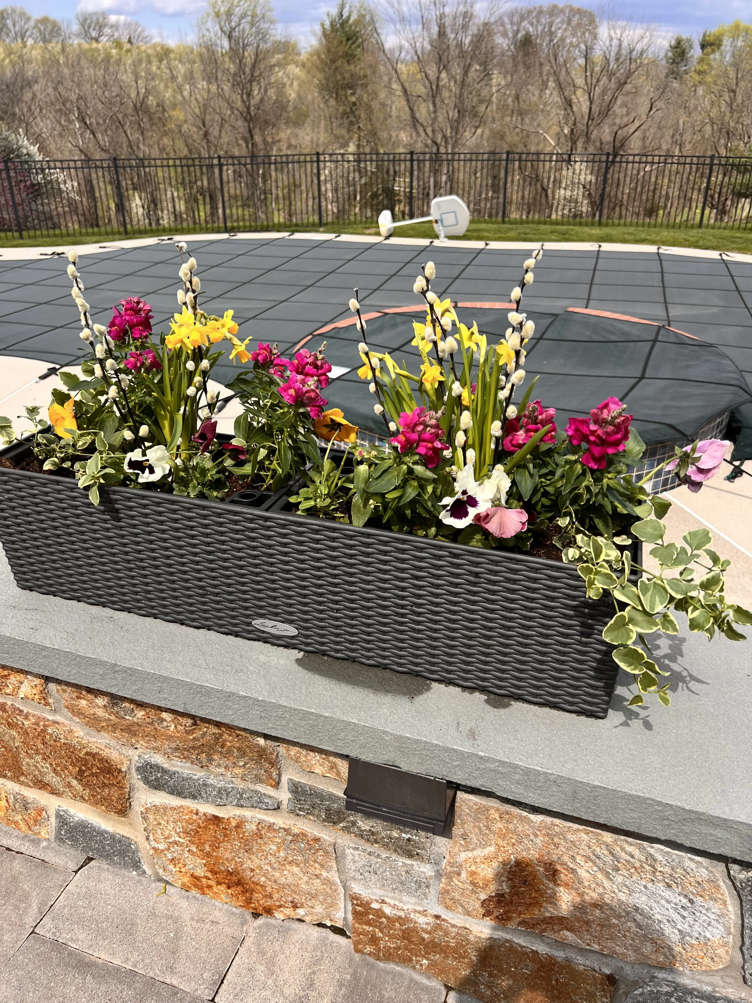 Photo Apr 15 2025, 2 35 13 PM.jpg