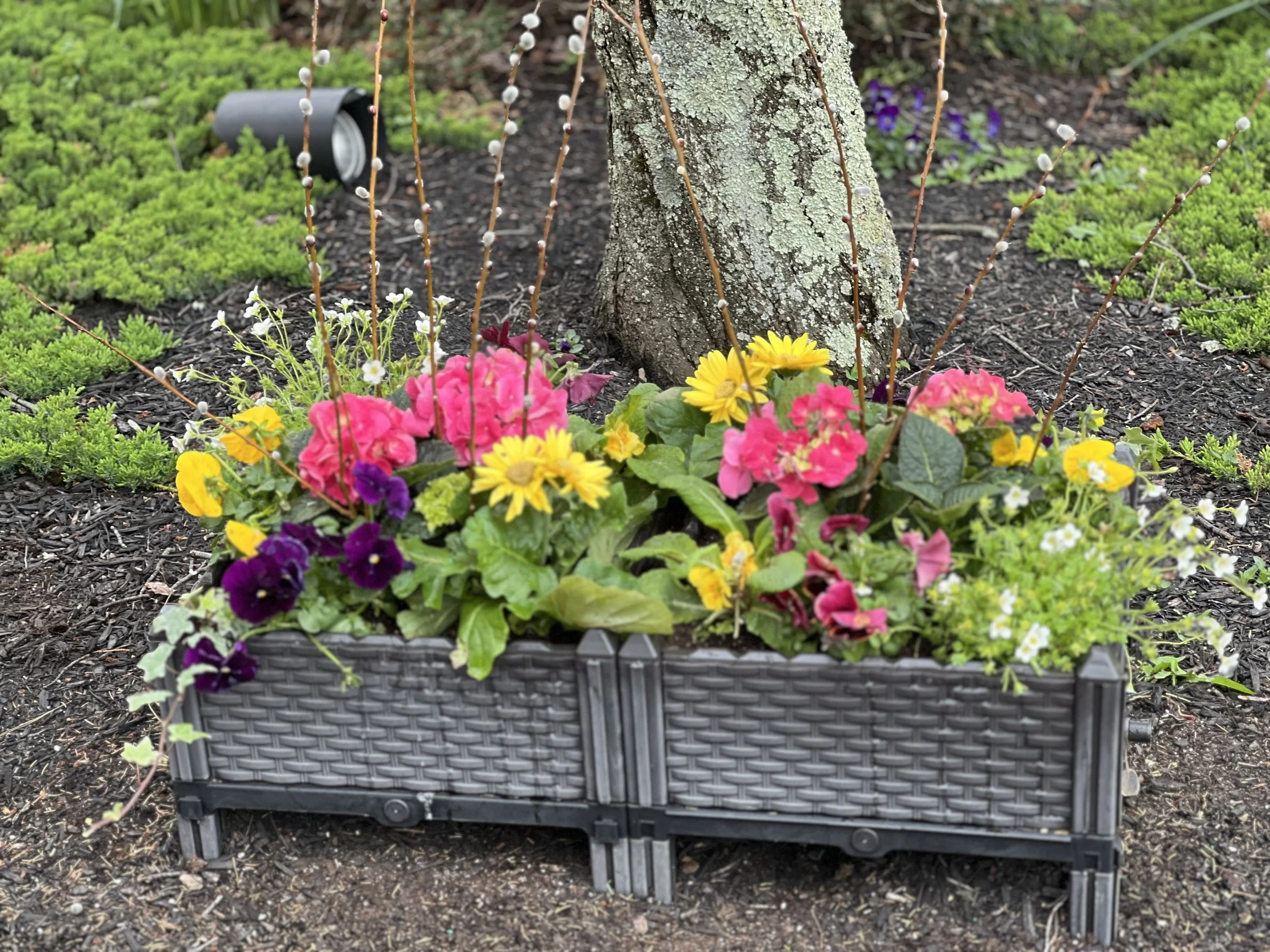 Photo Apr 19 2024, 1 33 59 PM.jpg