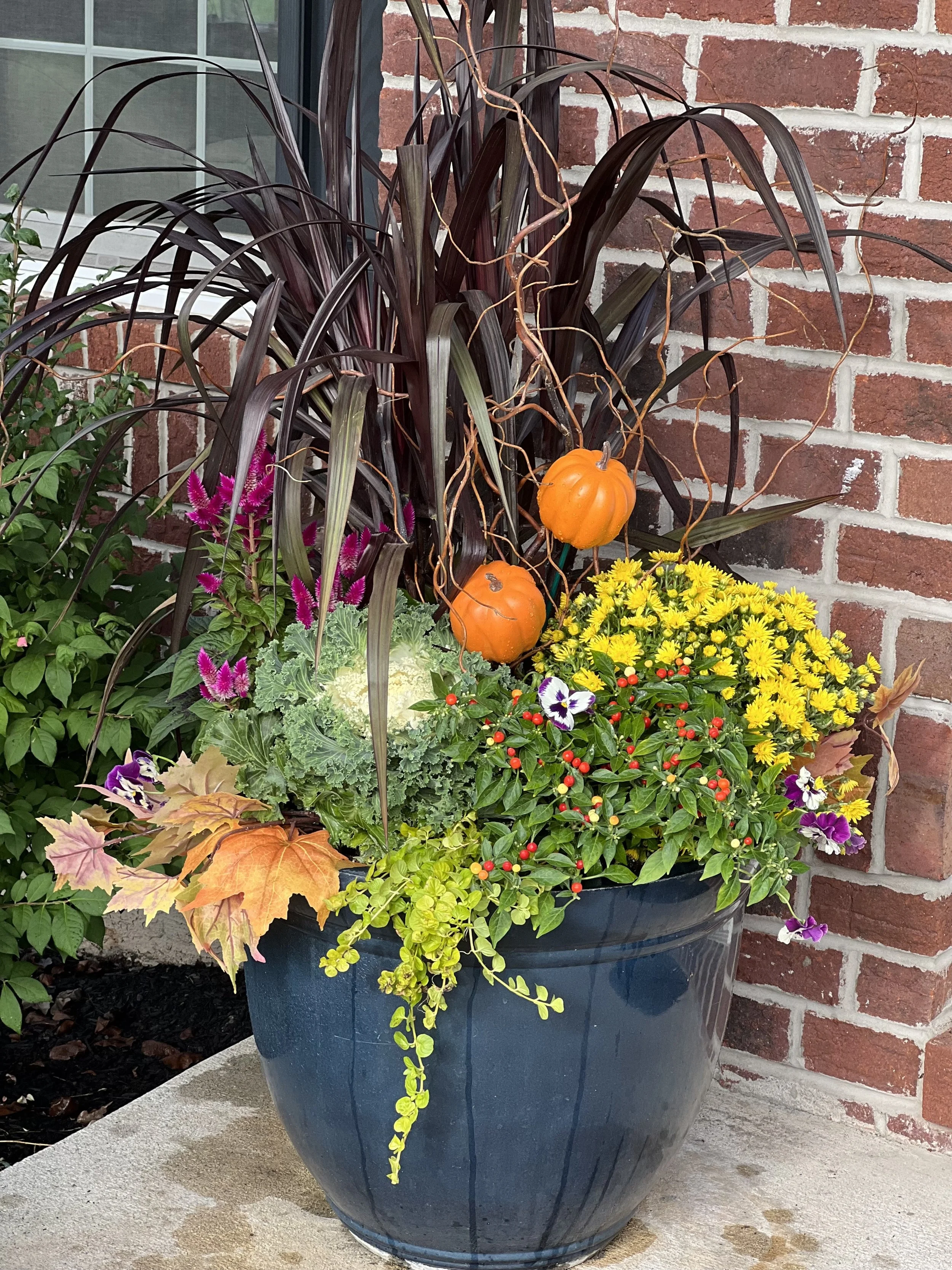 Residential_TT_FallPhoto Oct 05 2023, 9 36 46 AM.jpg