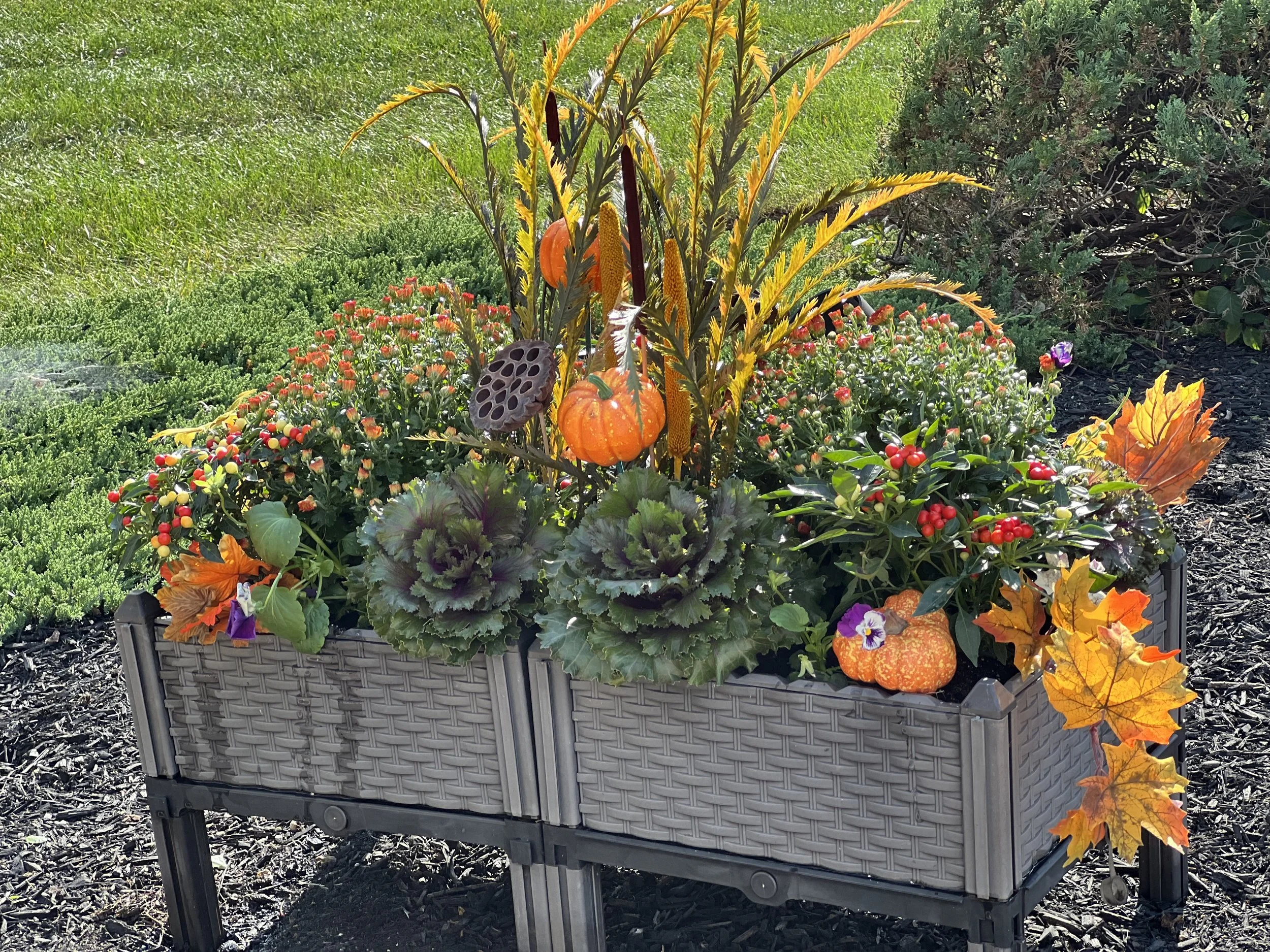 Photo Oct 07 2024, 3 06 58 PM.jpg