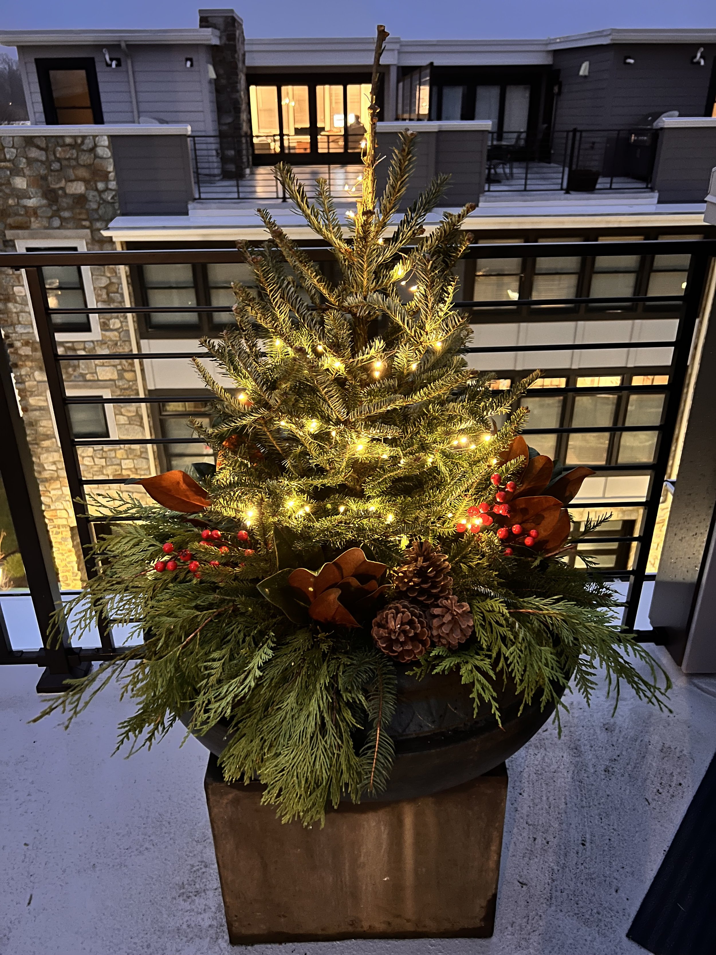 Residential_TT_Winter_Photo Dec 16 2024, 4 57 22 PM.jpg