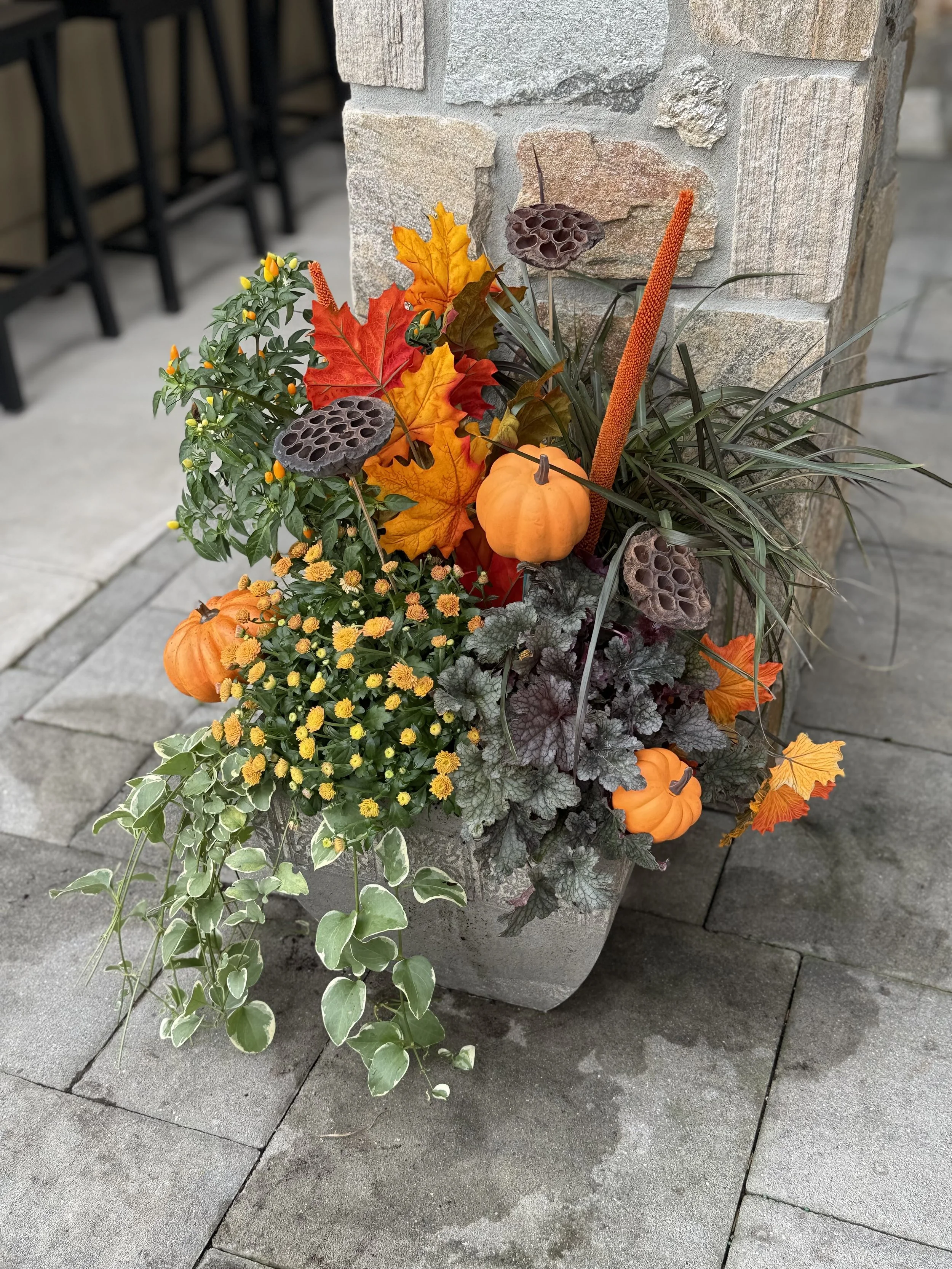 Residential_TT_Fall_Photo Sep 29 2025, 2 19 41 PM.jpg