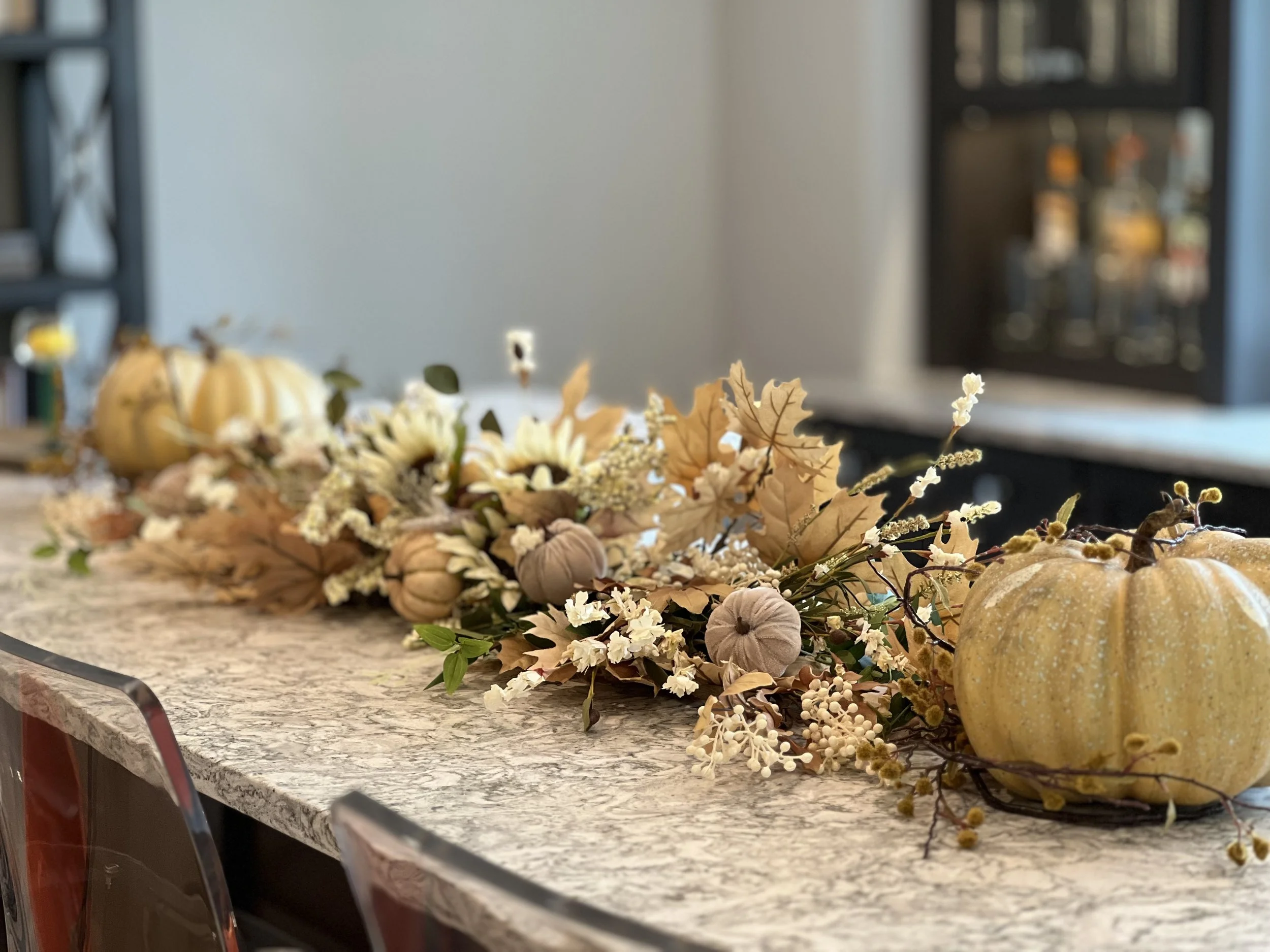 Commercial_TT_Fall_Photo Oct 02 2024, 2 24 45 PM.jpg