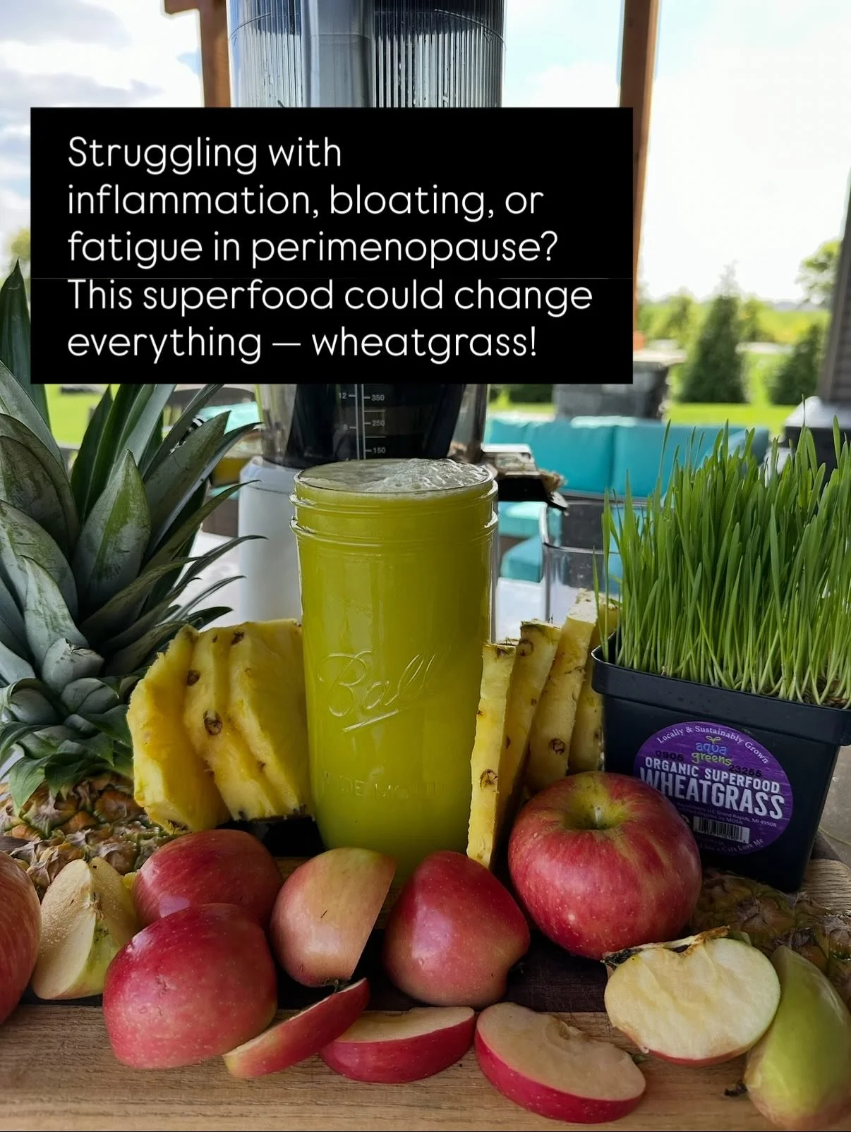 Your hormones need support &mdash; not stress.

Grab my free perimenopause guide in the bio to start feeling like you again 💫

And if you&rsquo;re ready to juice, save $60 on the Nama J2 juicer with code EVIE10 at checkout.