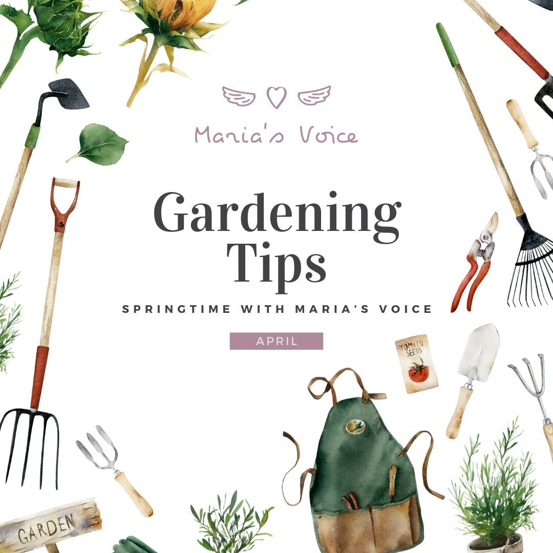 Hello!  We wanted to take a break from our regular posts and pop in a few gardening tips. With the weather warming up, it gets easier to enjoy the outdoors. We hope these gardening tips are fun for you to test out or pass along to your neighbors.
Sta