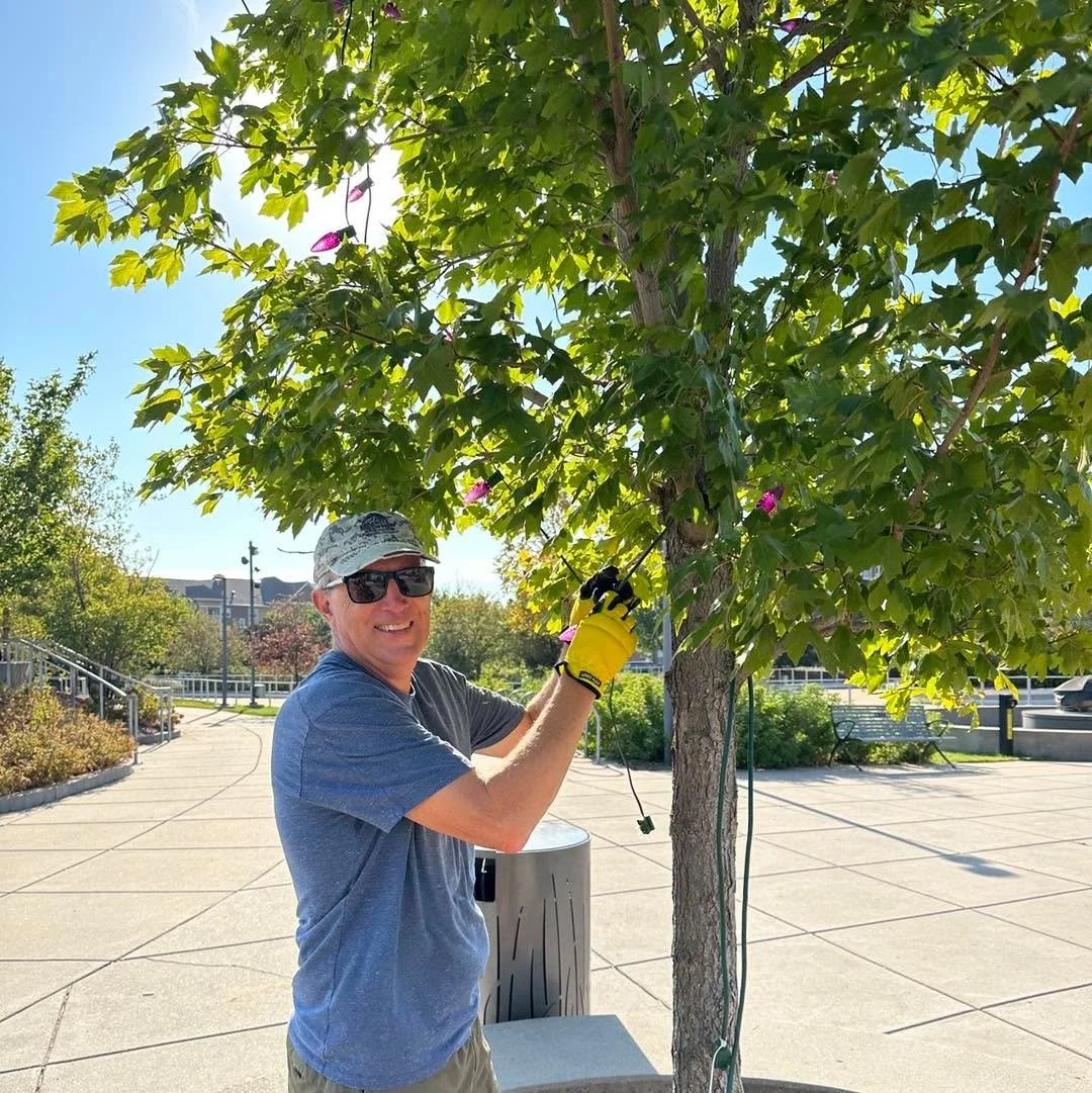 Central Park in Maple Grove has been turned purple by the Maple Grove Rotary.π A beautiful sight in preparation for the Maria’s Voice Community Tribute happening this Thursday, October 9.
Join us as we come together to honor lives lost to dom